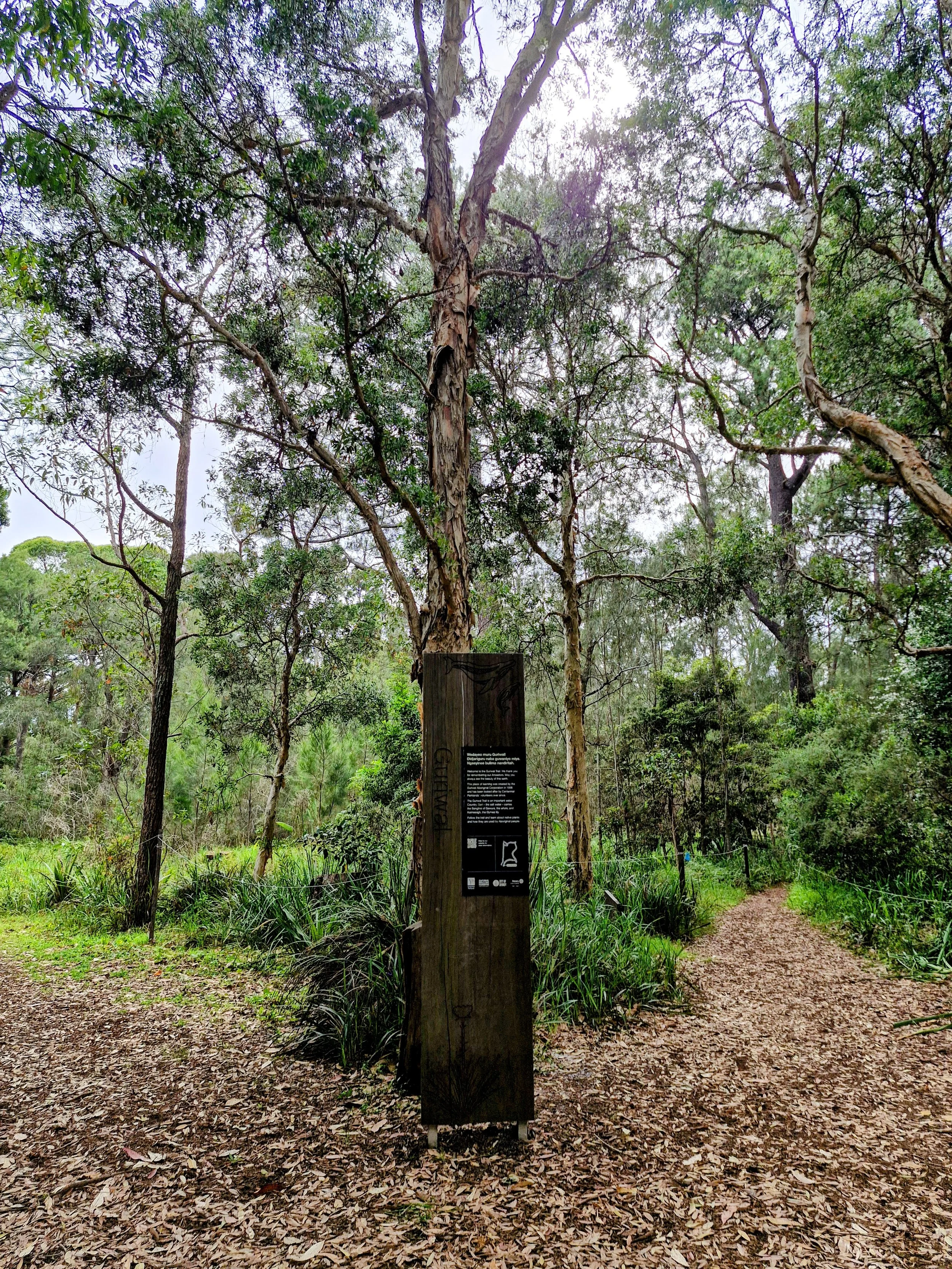 20251120_091735-EDIT (1).jpg