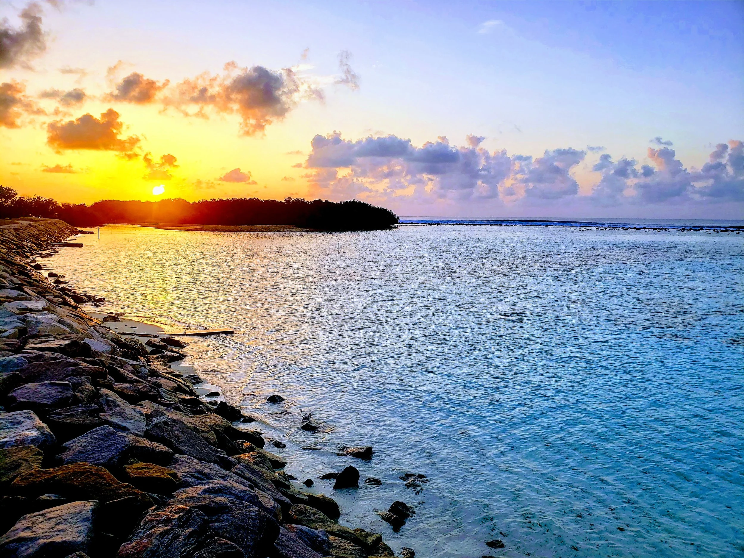 20210923_043320 (1).jpg