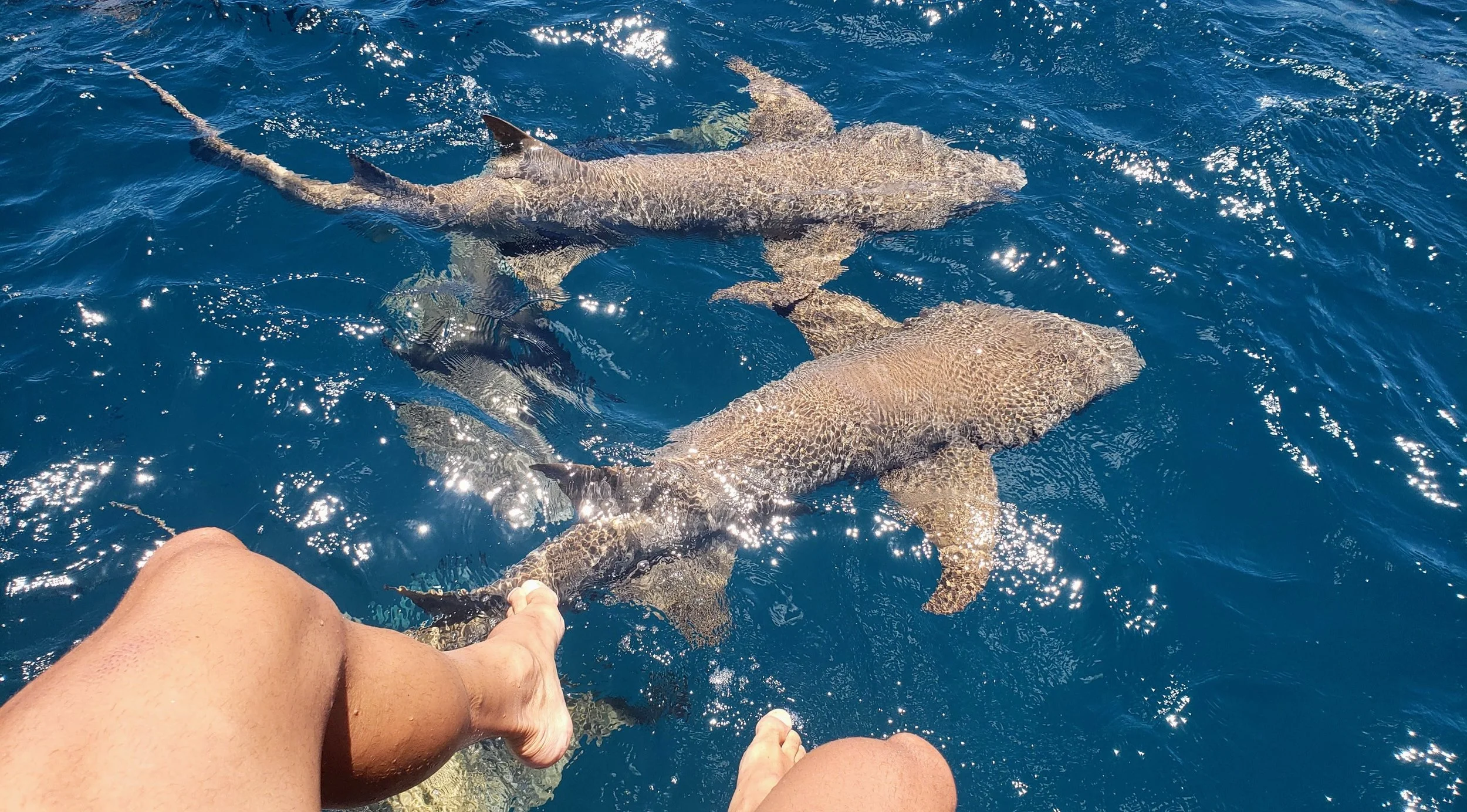 20210929_110104 (1).jpg