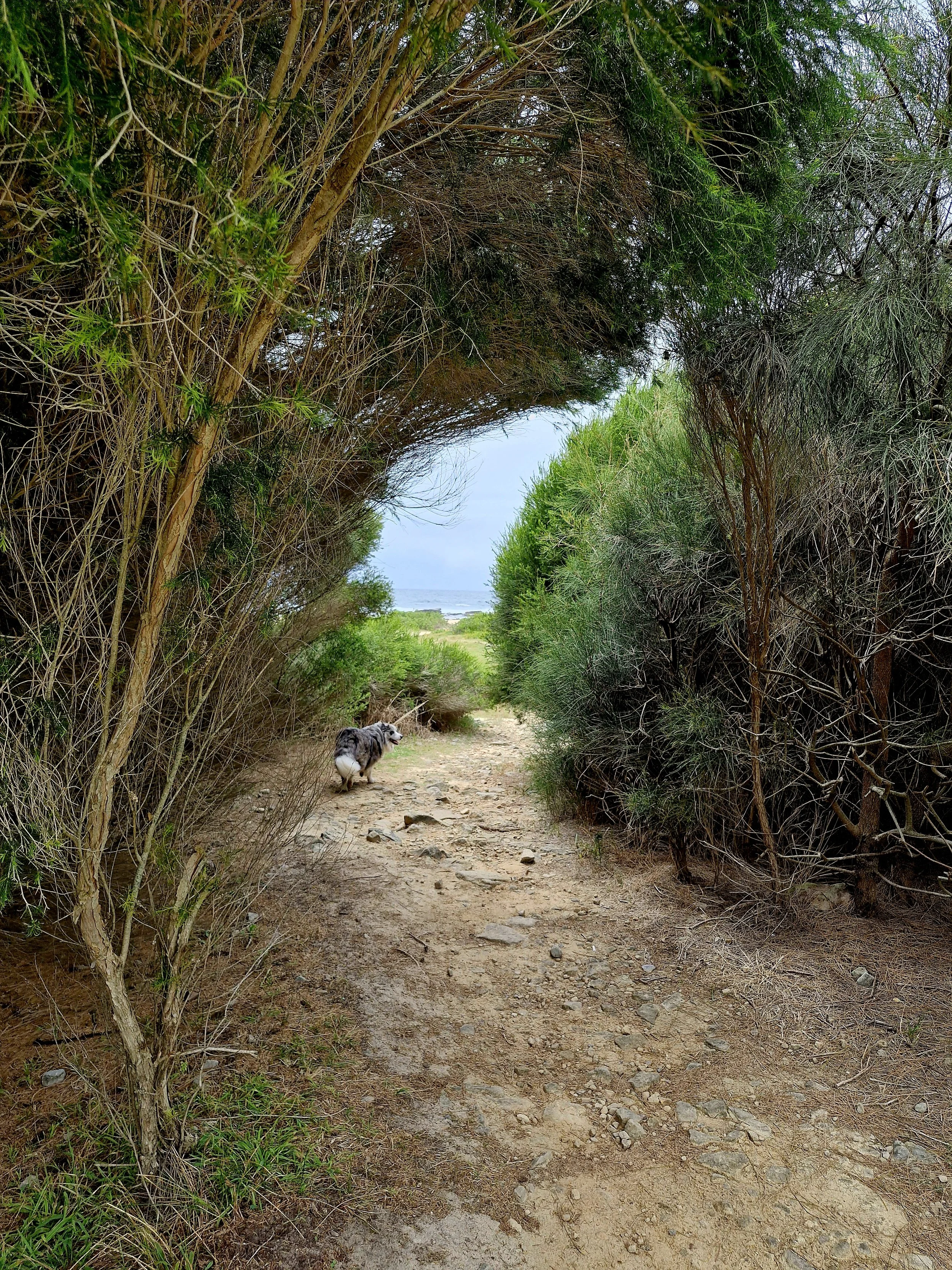 20251122_113753(1) (1).jpg