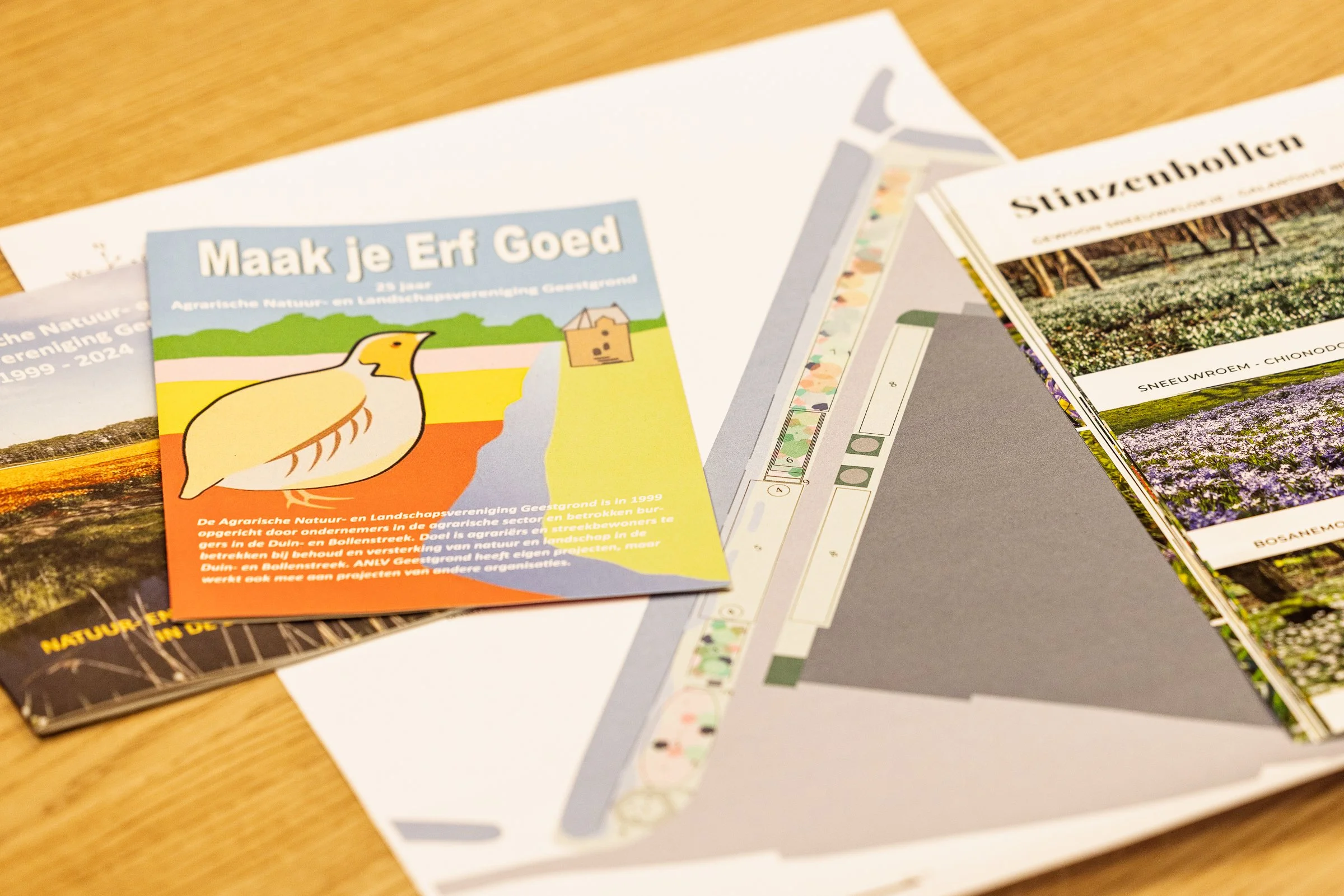 LR Biodiversiteit JUB @ToekomstBollenvak fotograaf Erma Rotteveel-51.jpg