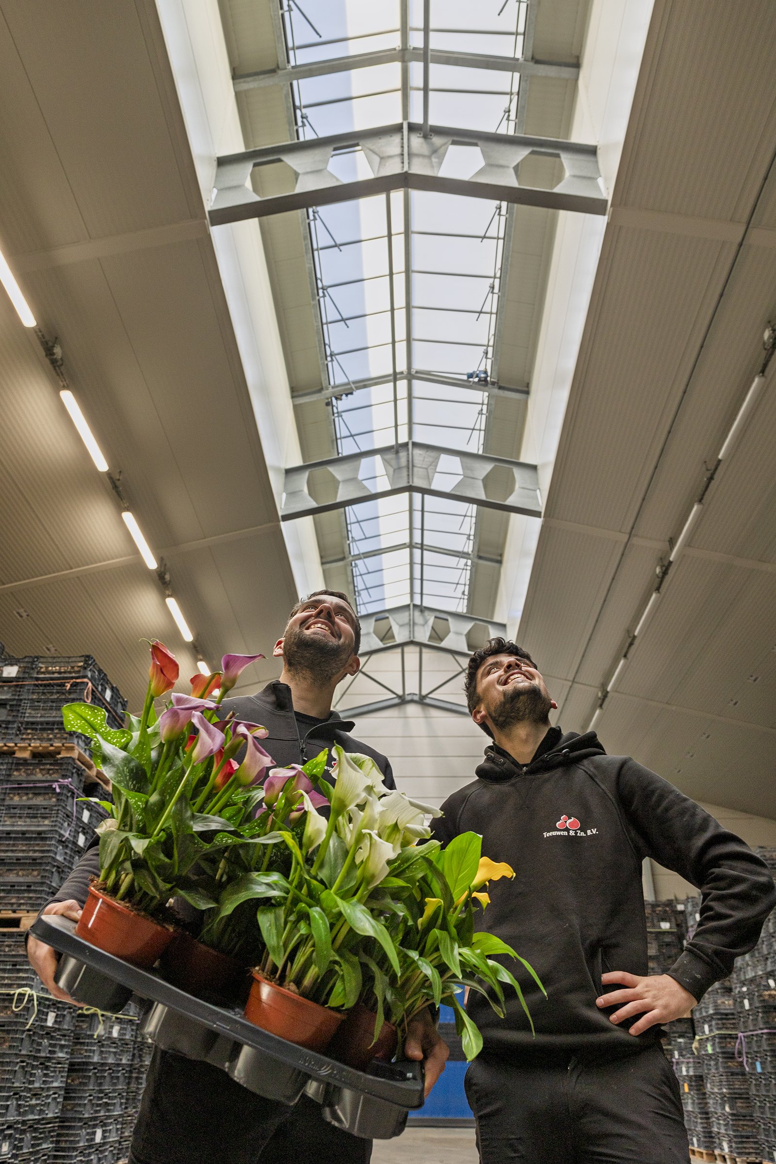 zonnedak teeuwen 01LR bloembollensector.jpg