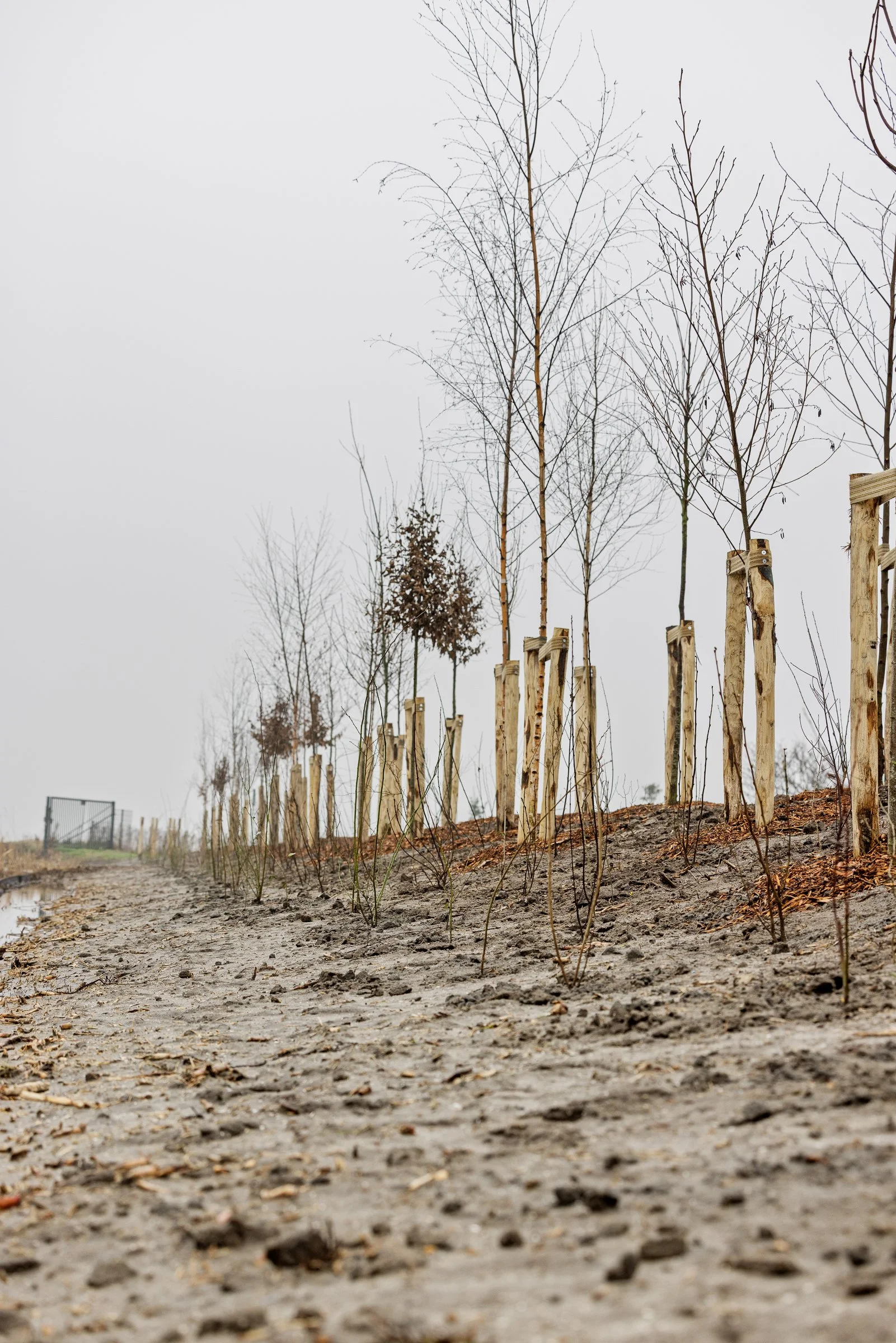 LR Biodiversiteit JUB @ToekomstBollenvak fotograaf Erma Rotteveel-23.jpg