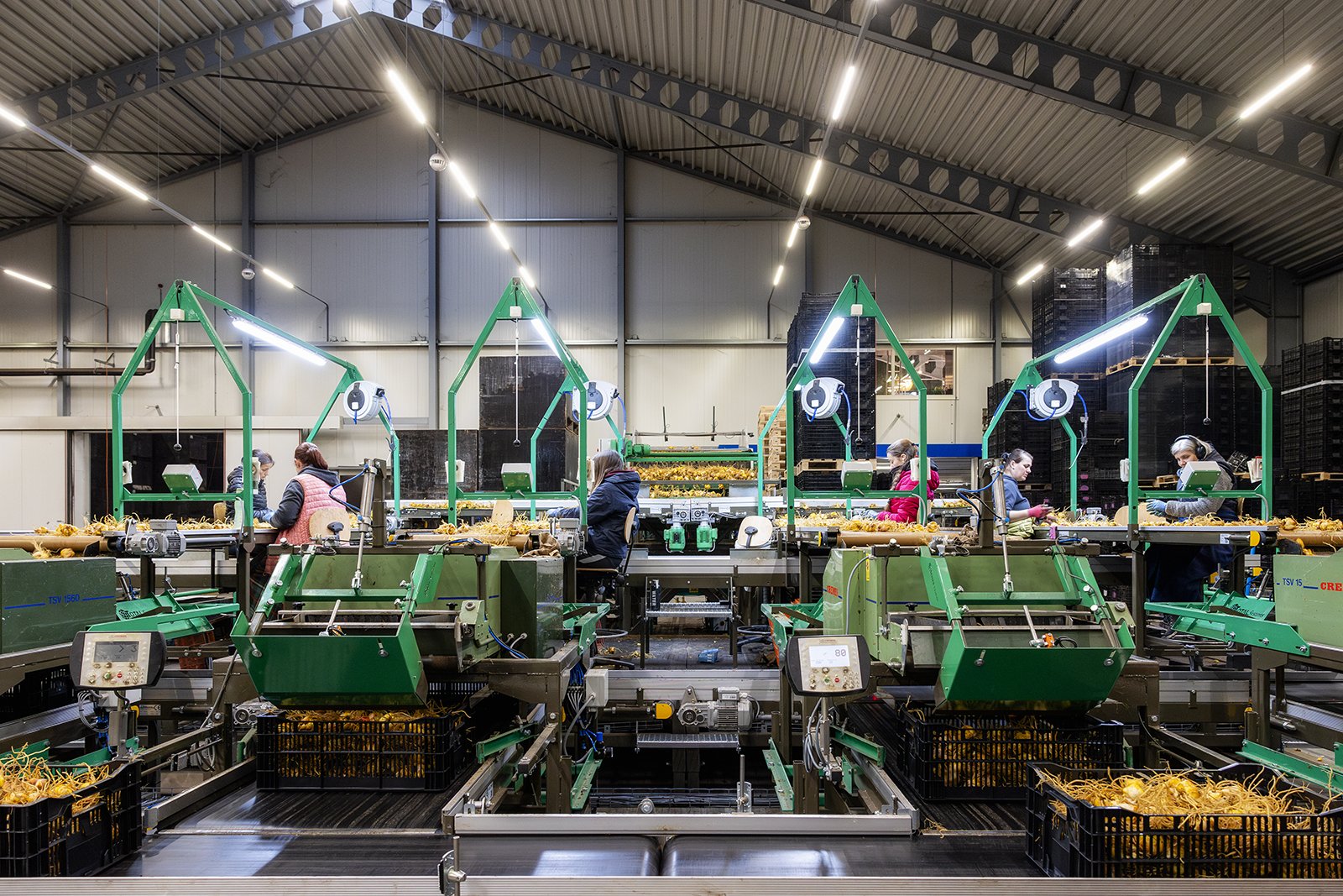 leliebollen robotisering arbeid 06LR.jpg