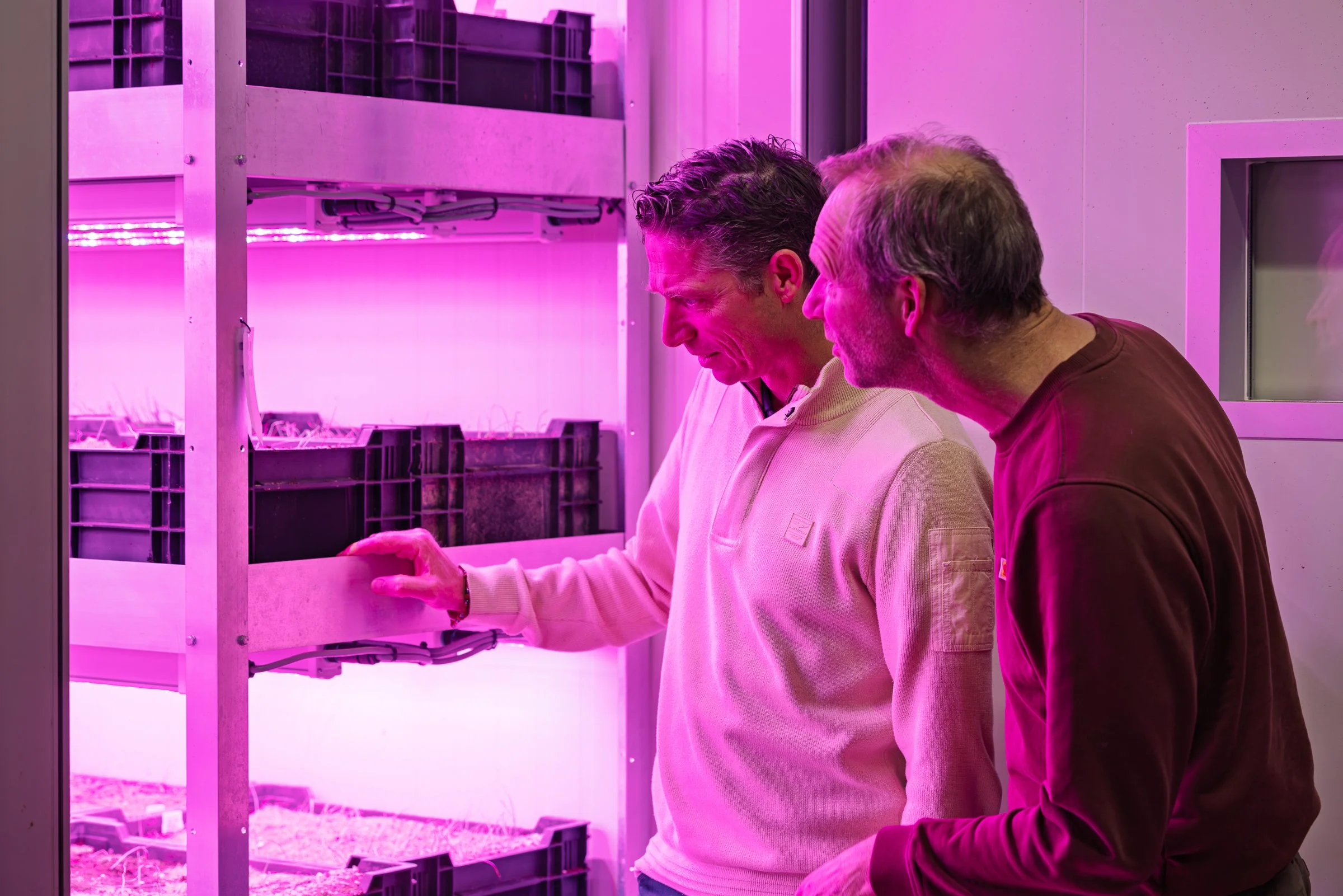 LR Markglory weefselkweek @ToekomstBollenvak fotograaf Erma Rotteveel-40.jpg