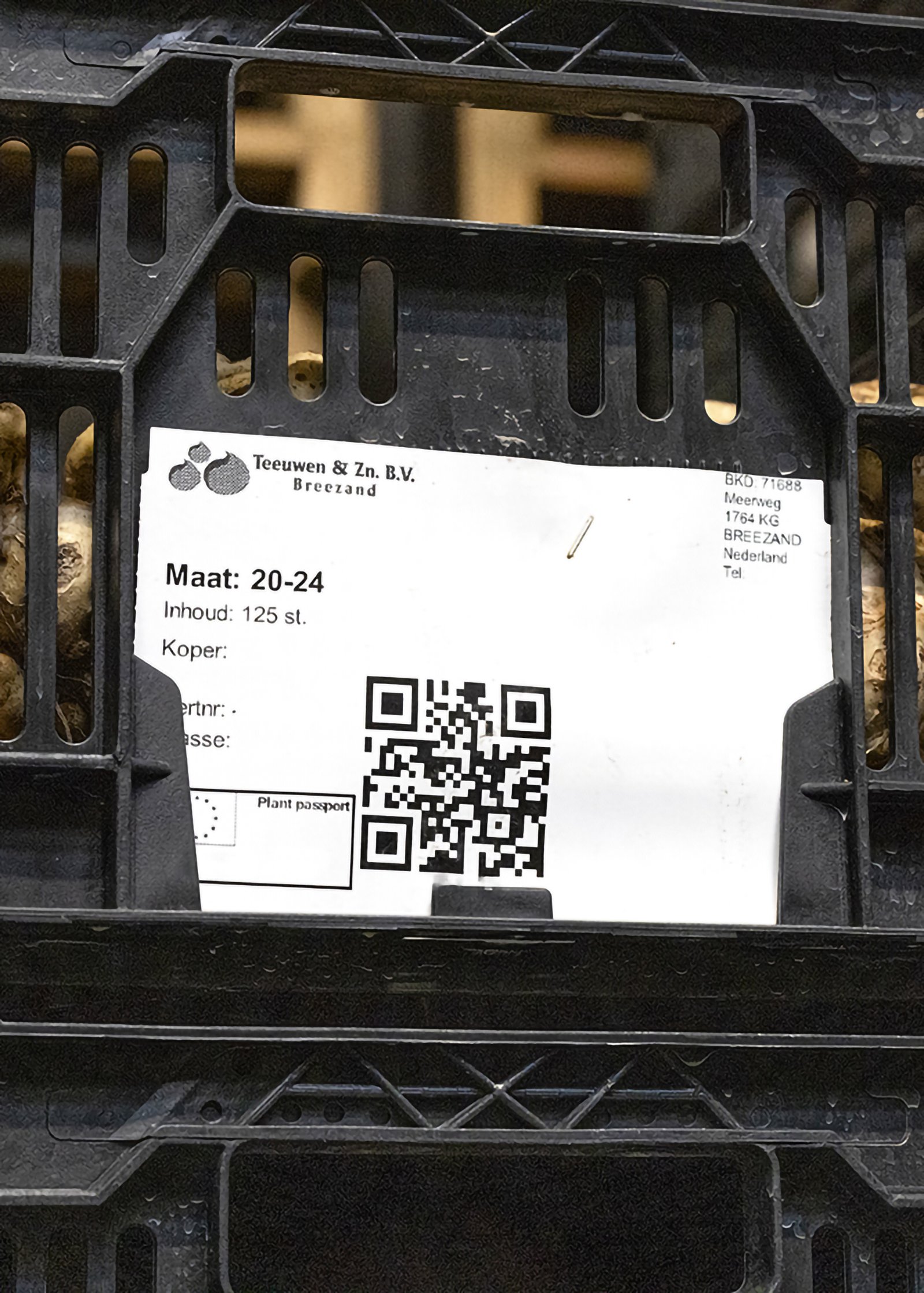 qr-code lrLR bloembollensector.jpg