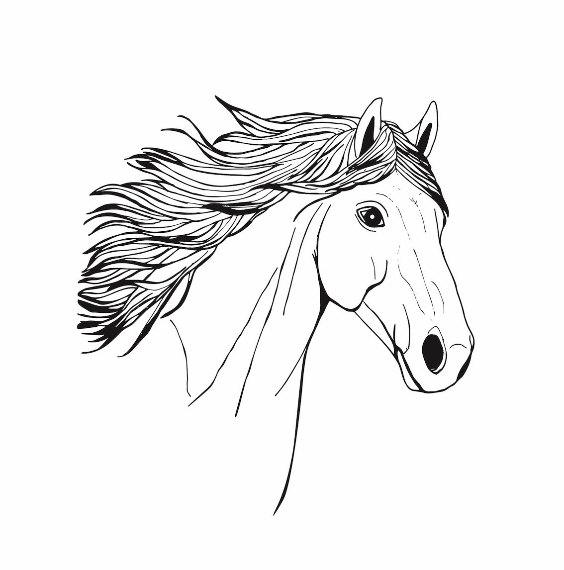 Line drawing of a horse head