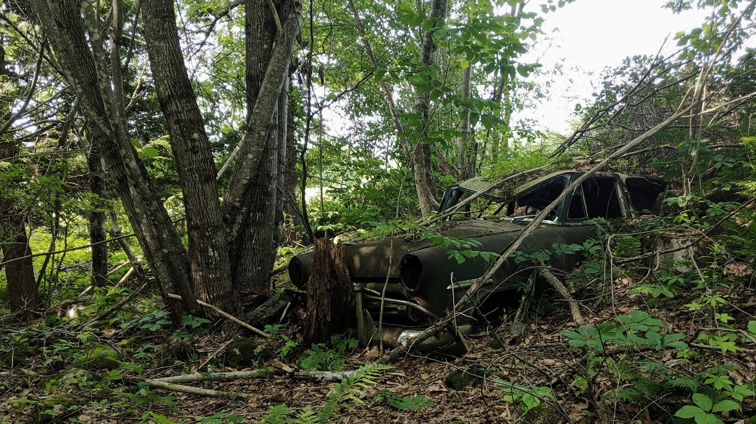 Copy of Lost and Found.jpg