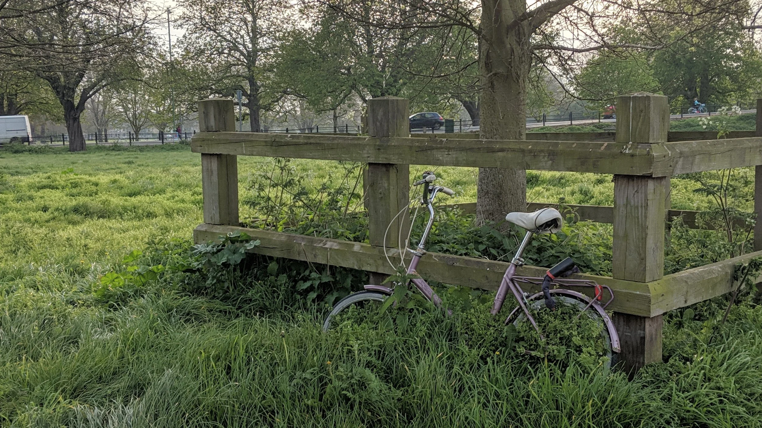 Copy of MVIMG_20190418_183610.jpg