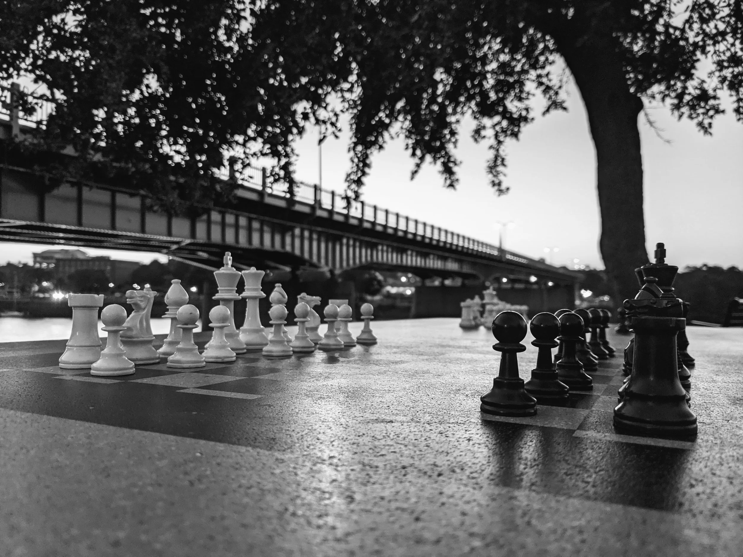 Copy of Chess in the Park.jpg