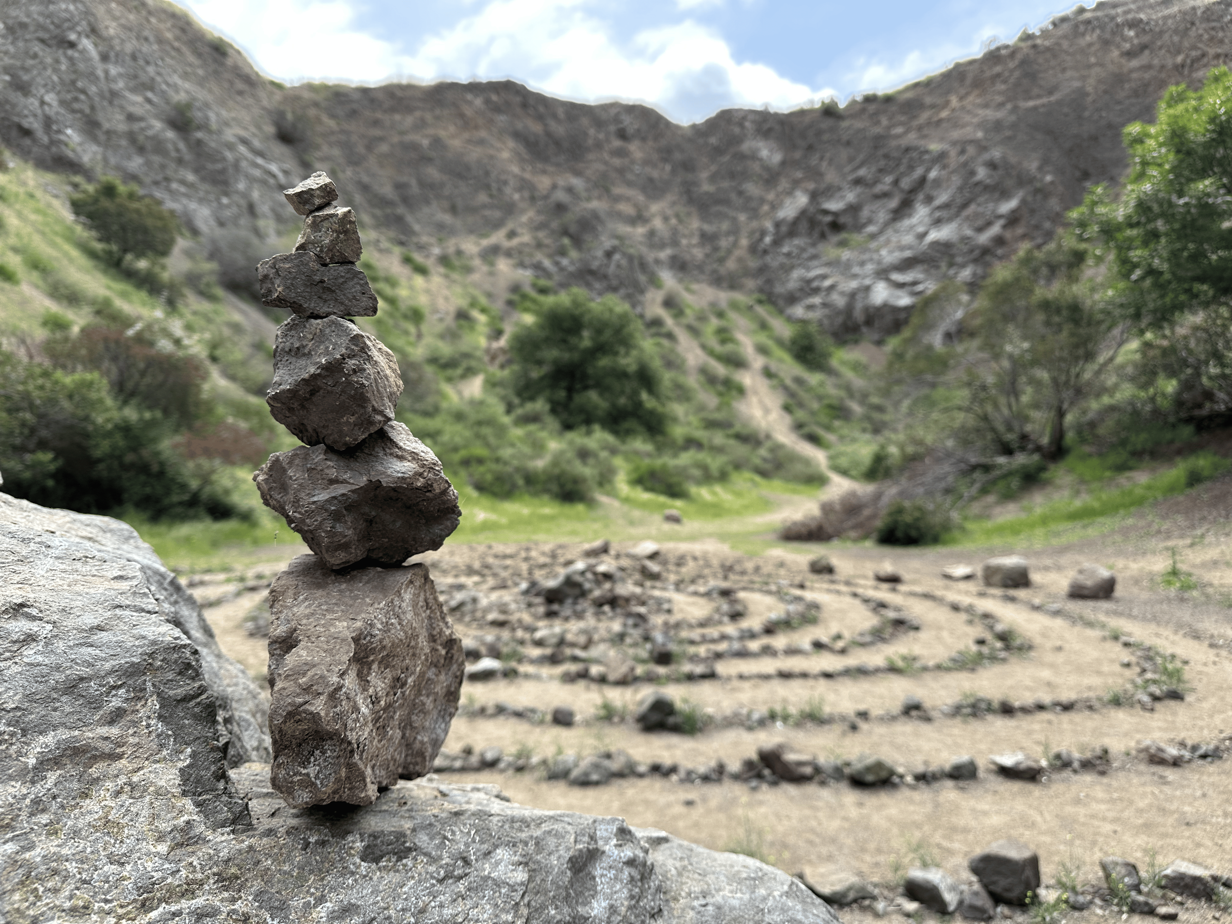 Copy of IMG_8900.png