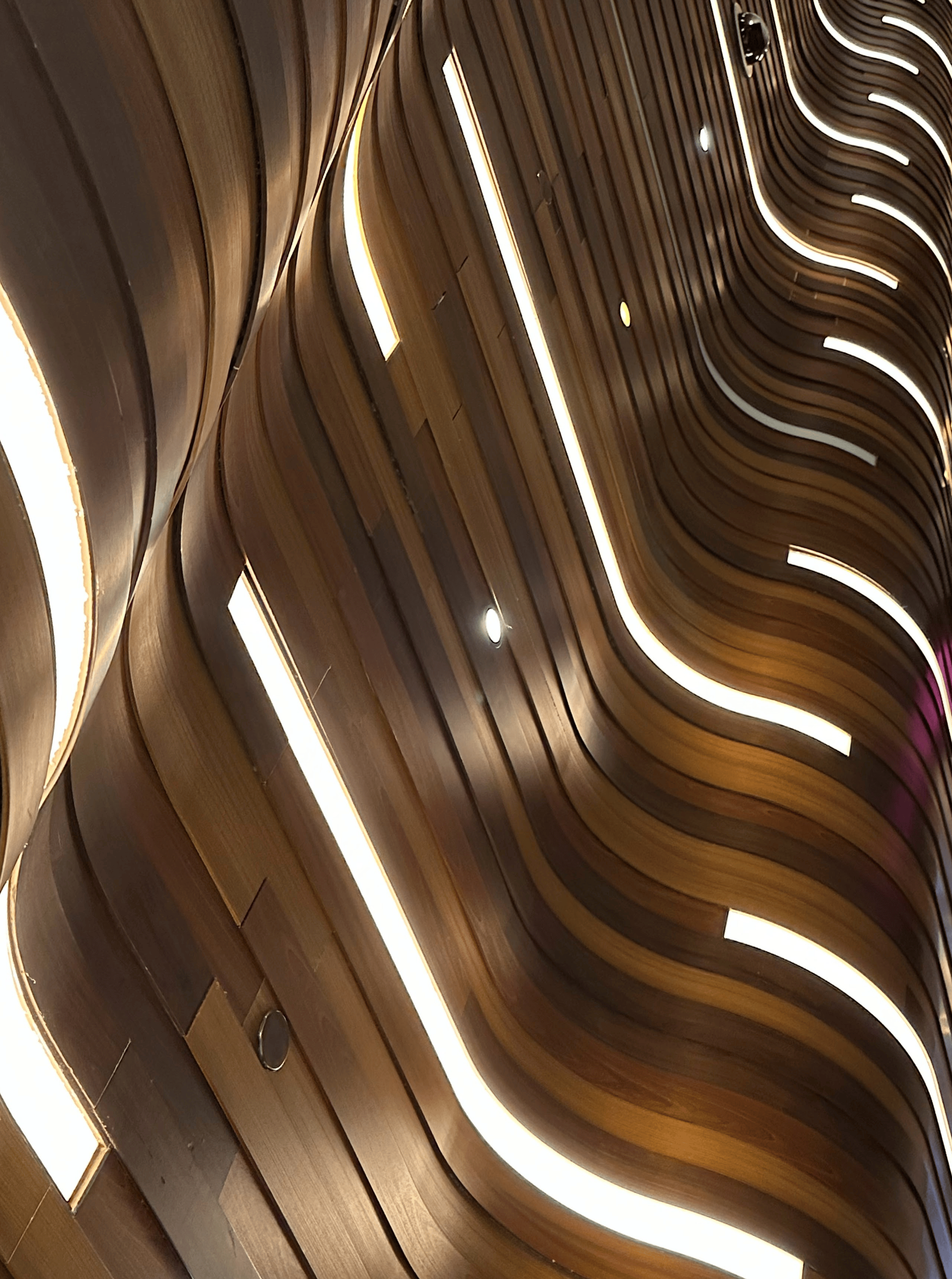 Copy of IMG_8741.png