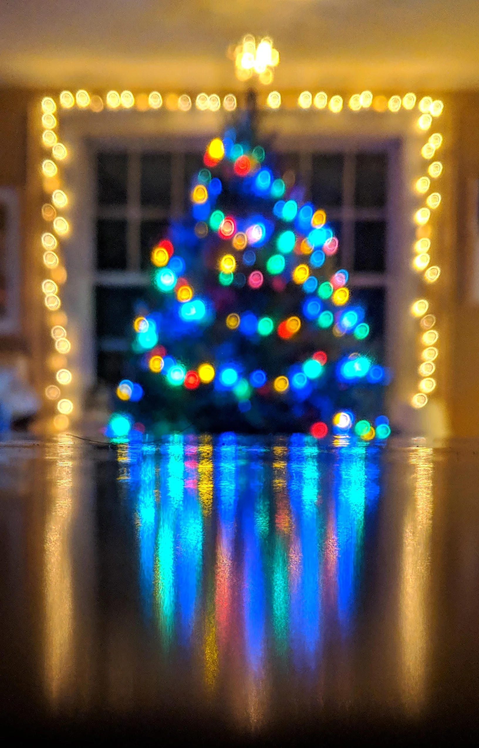 Copy of IMG_20181211_223432 (1).jpg