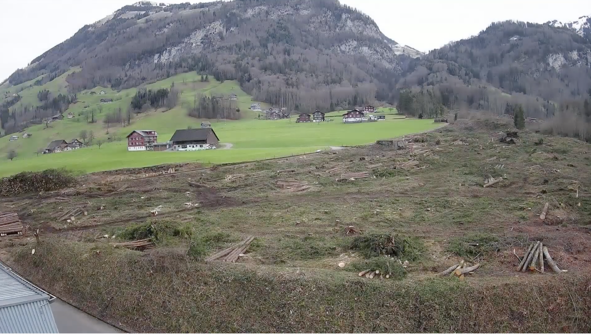 Ein Jahr Bauzeit im Zeitraffer