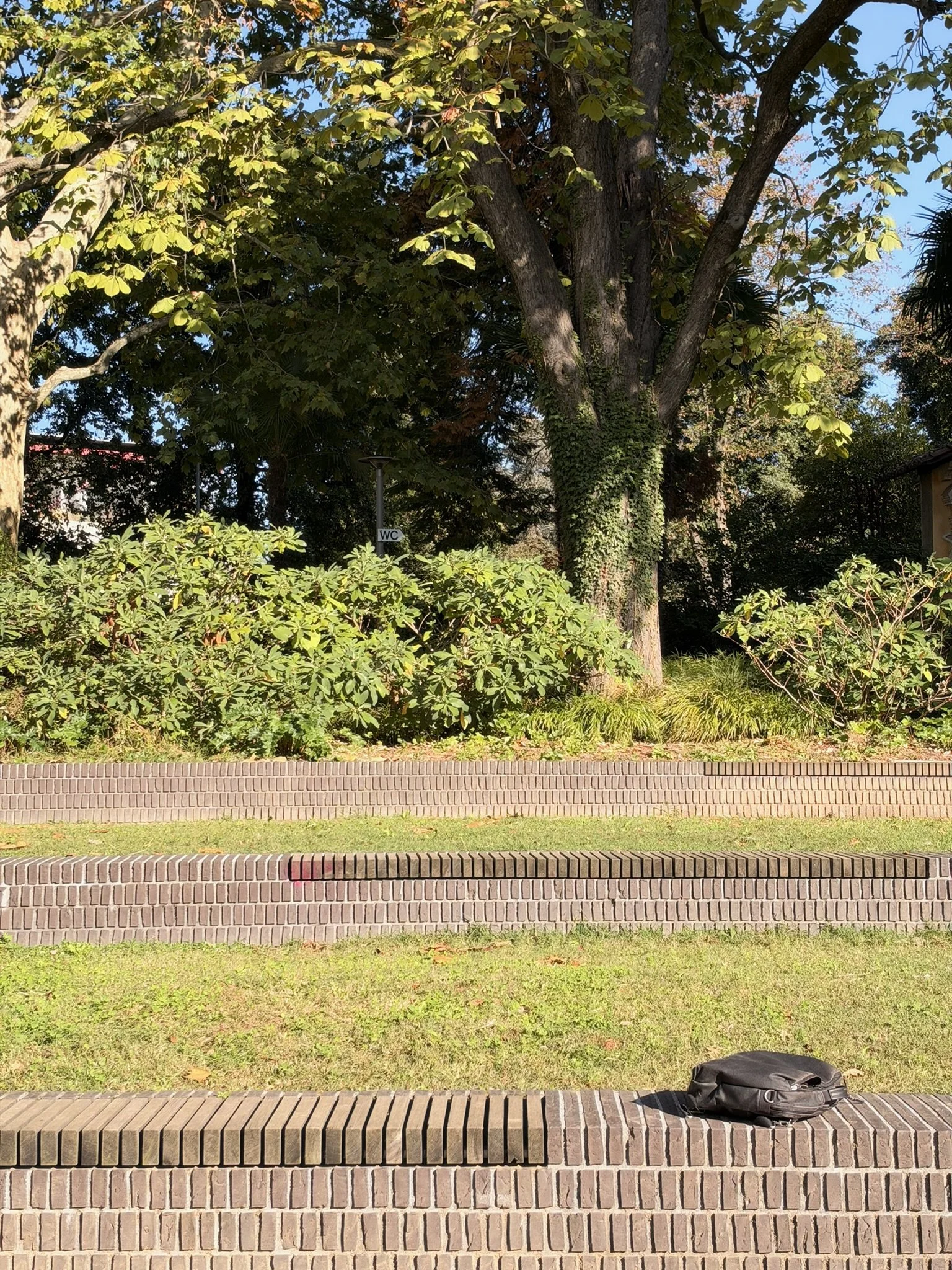 IMG_7615.JPEG