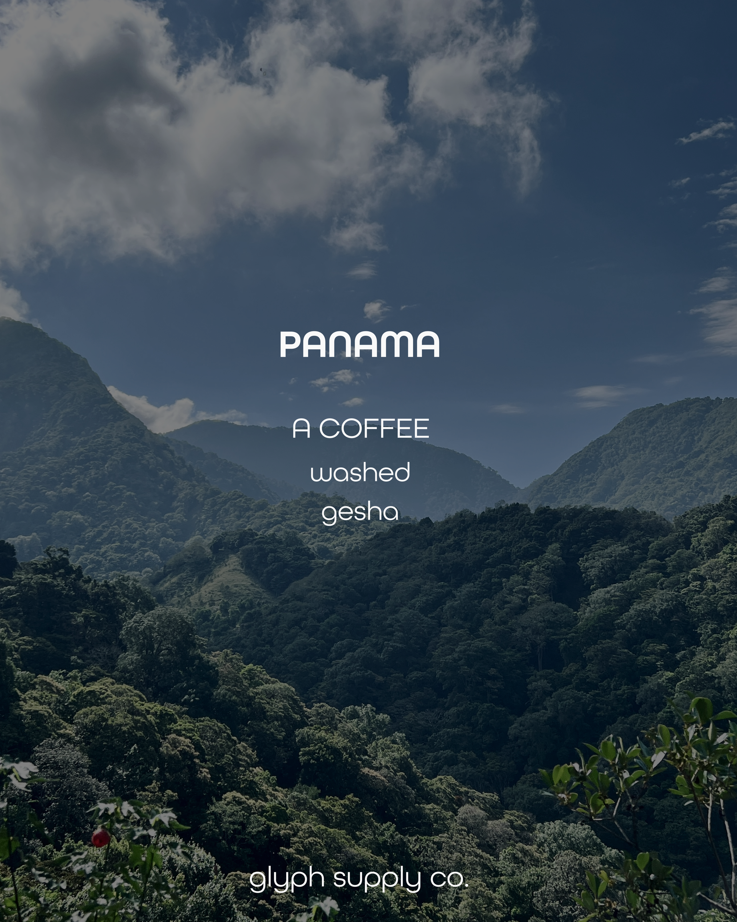 a coffee-15.png