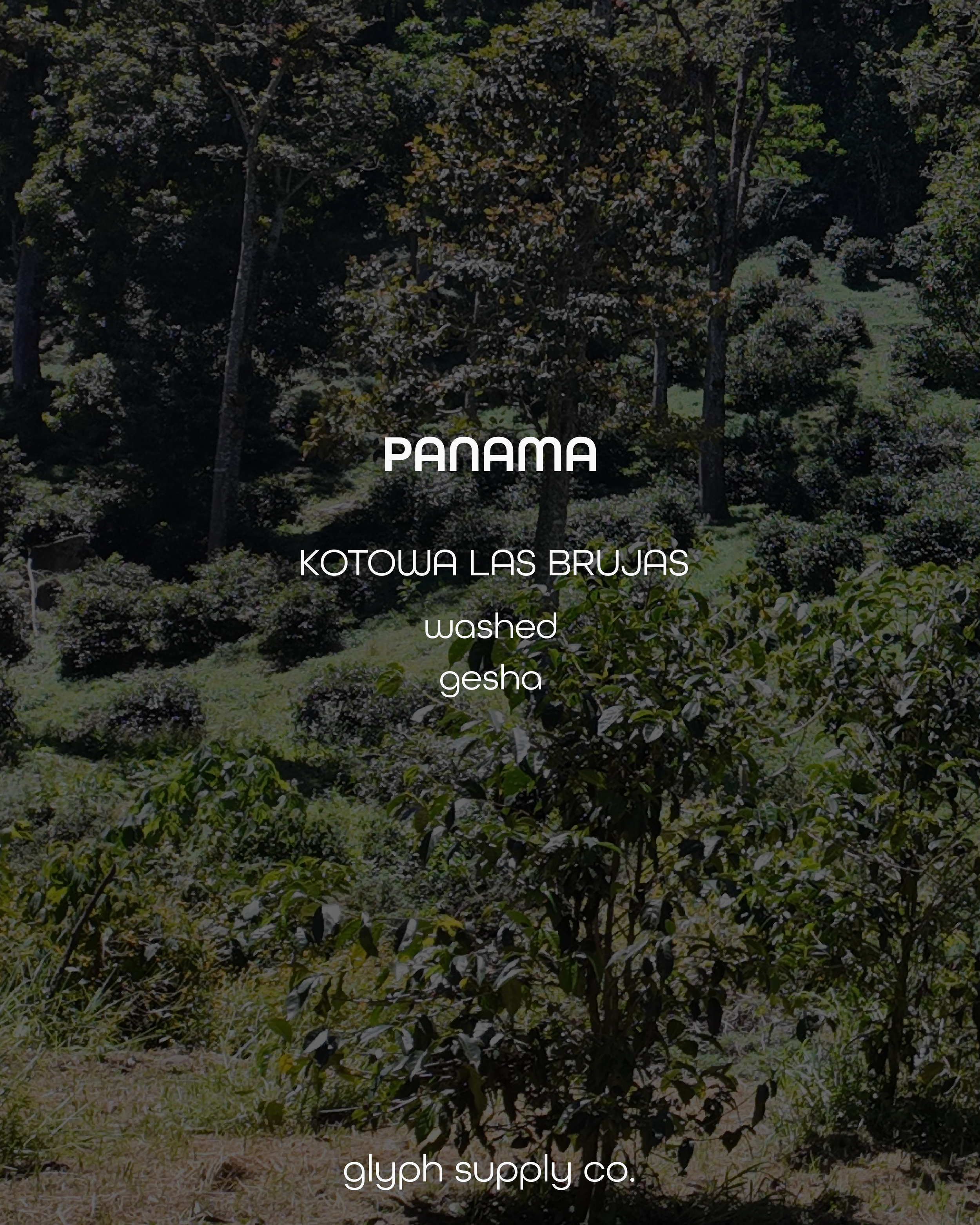 kotowa-13.png