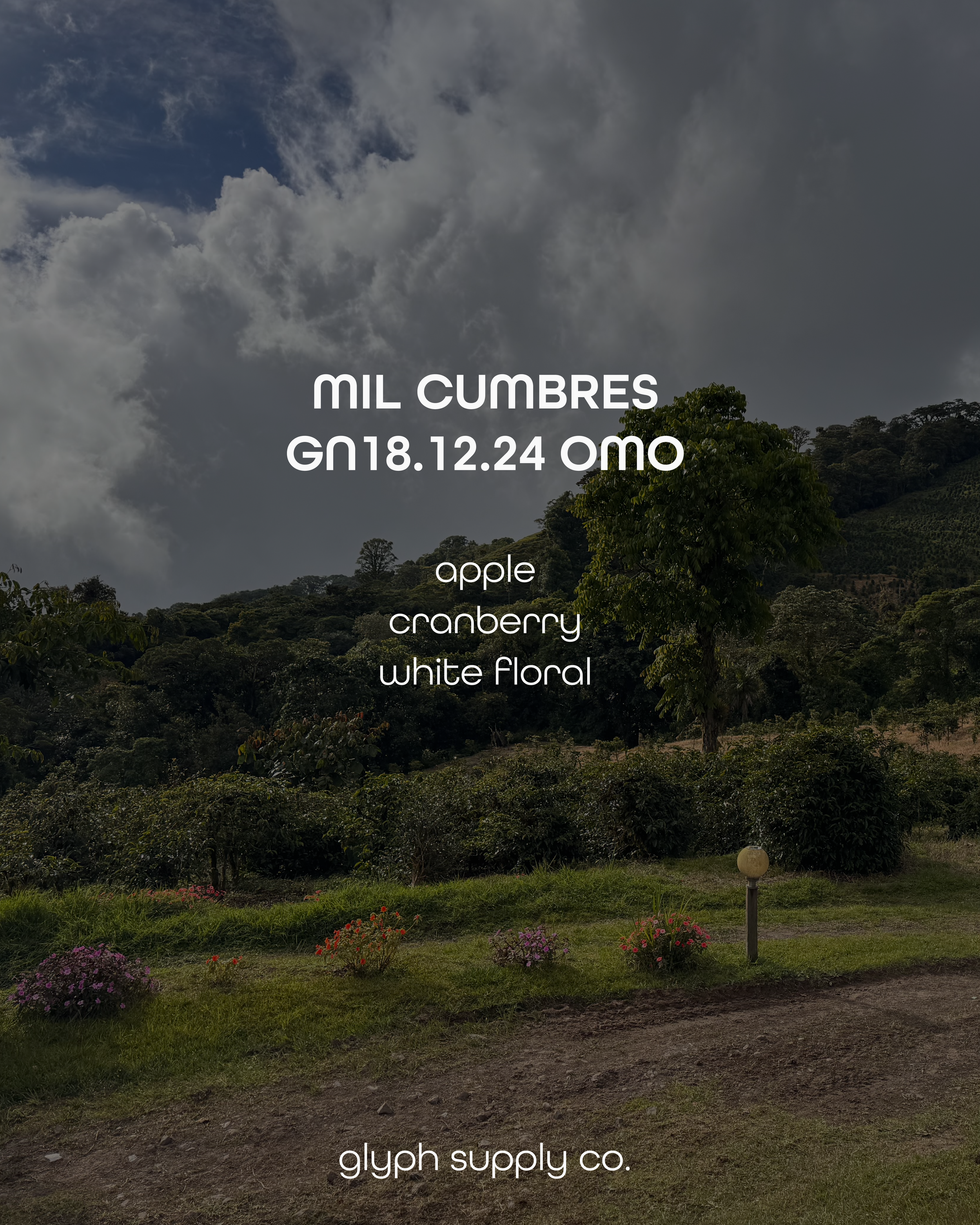 mil cumbres 181224 2.png