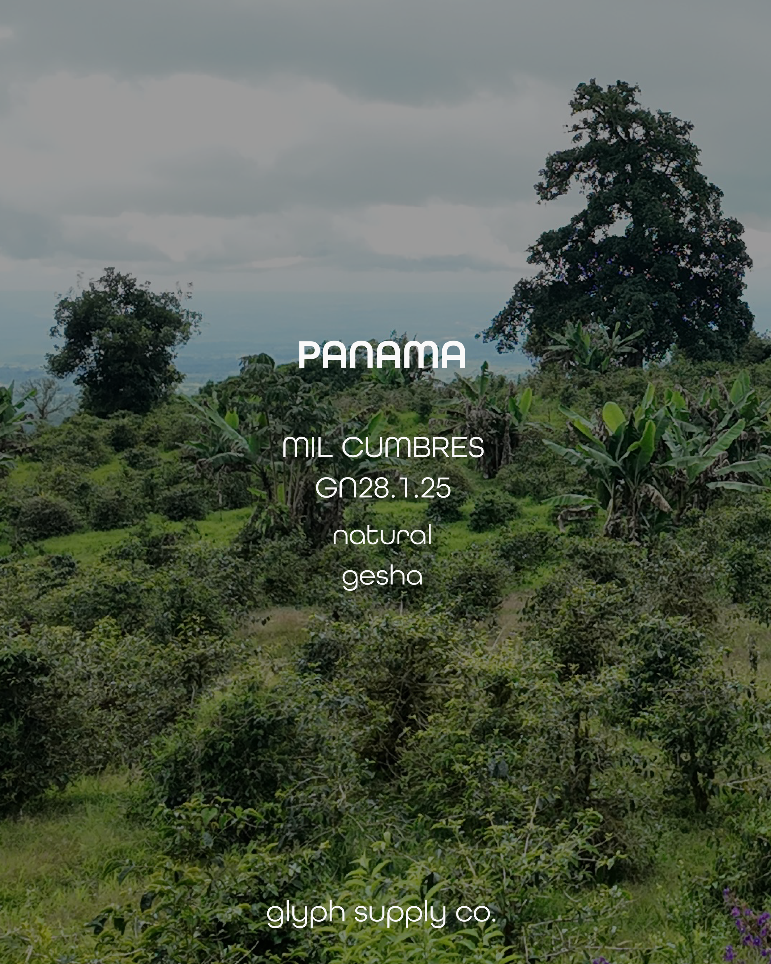 mil cumbres 28125.png