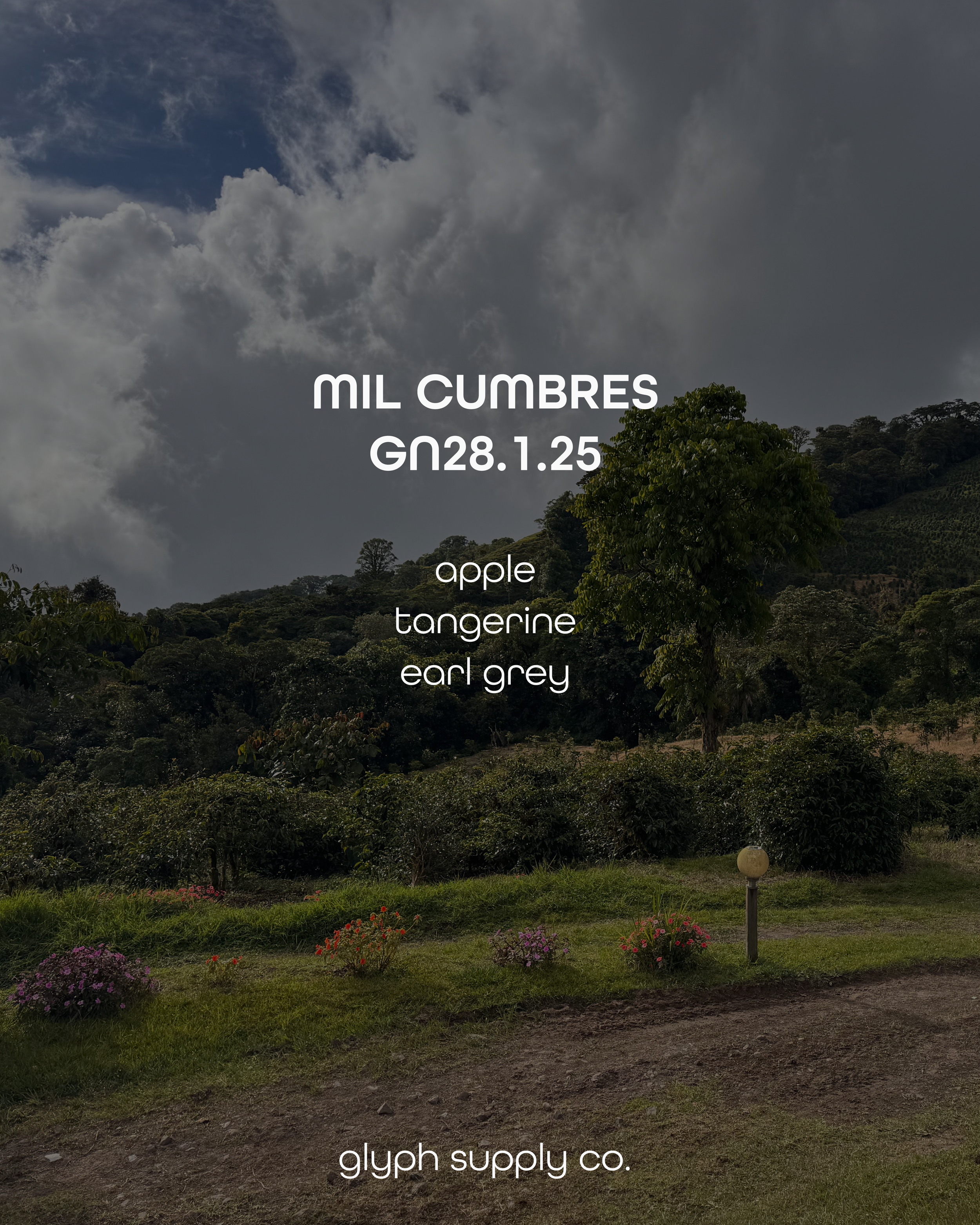 mil cumbres 28125 2.png