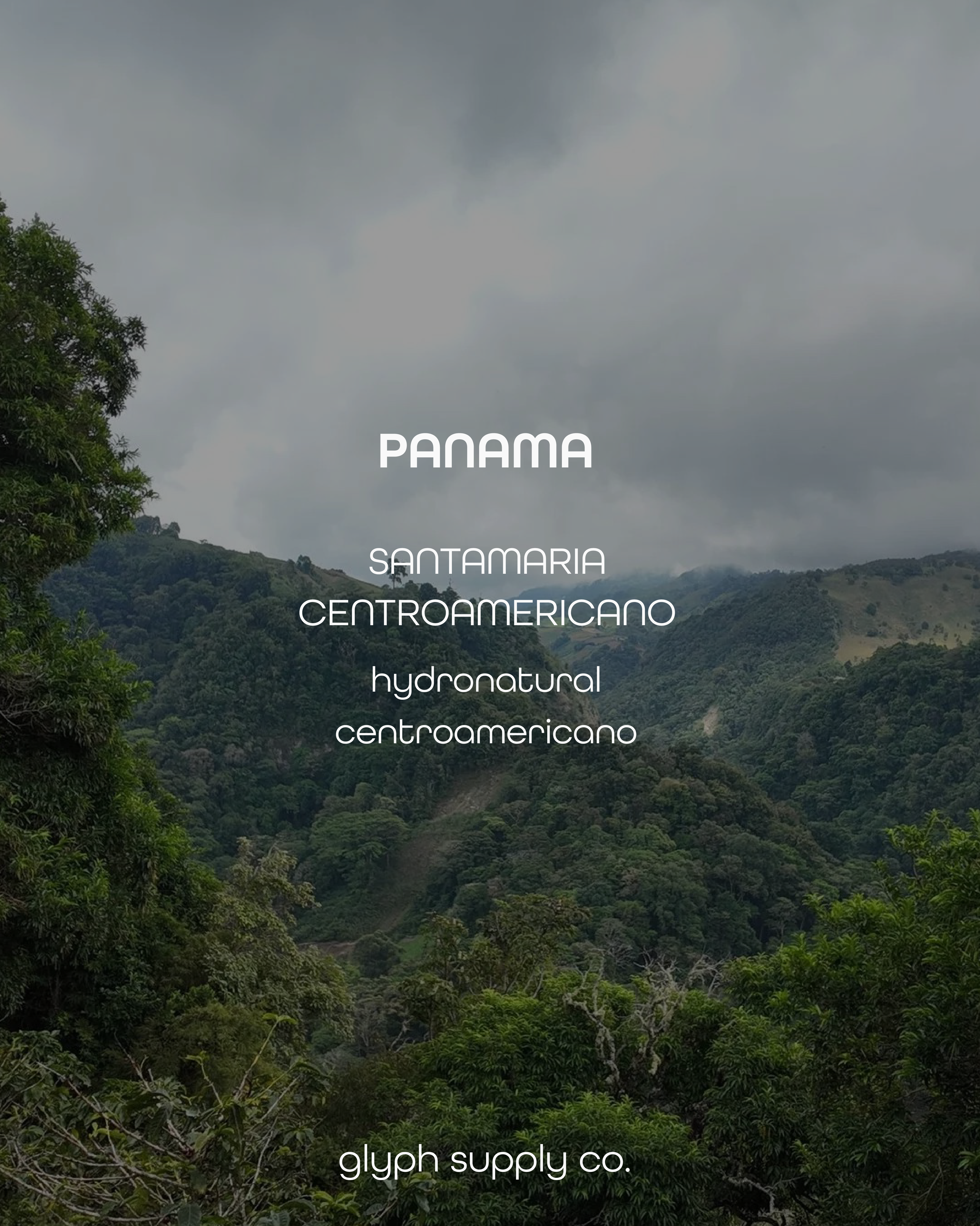 santamaria centroa.png