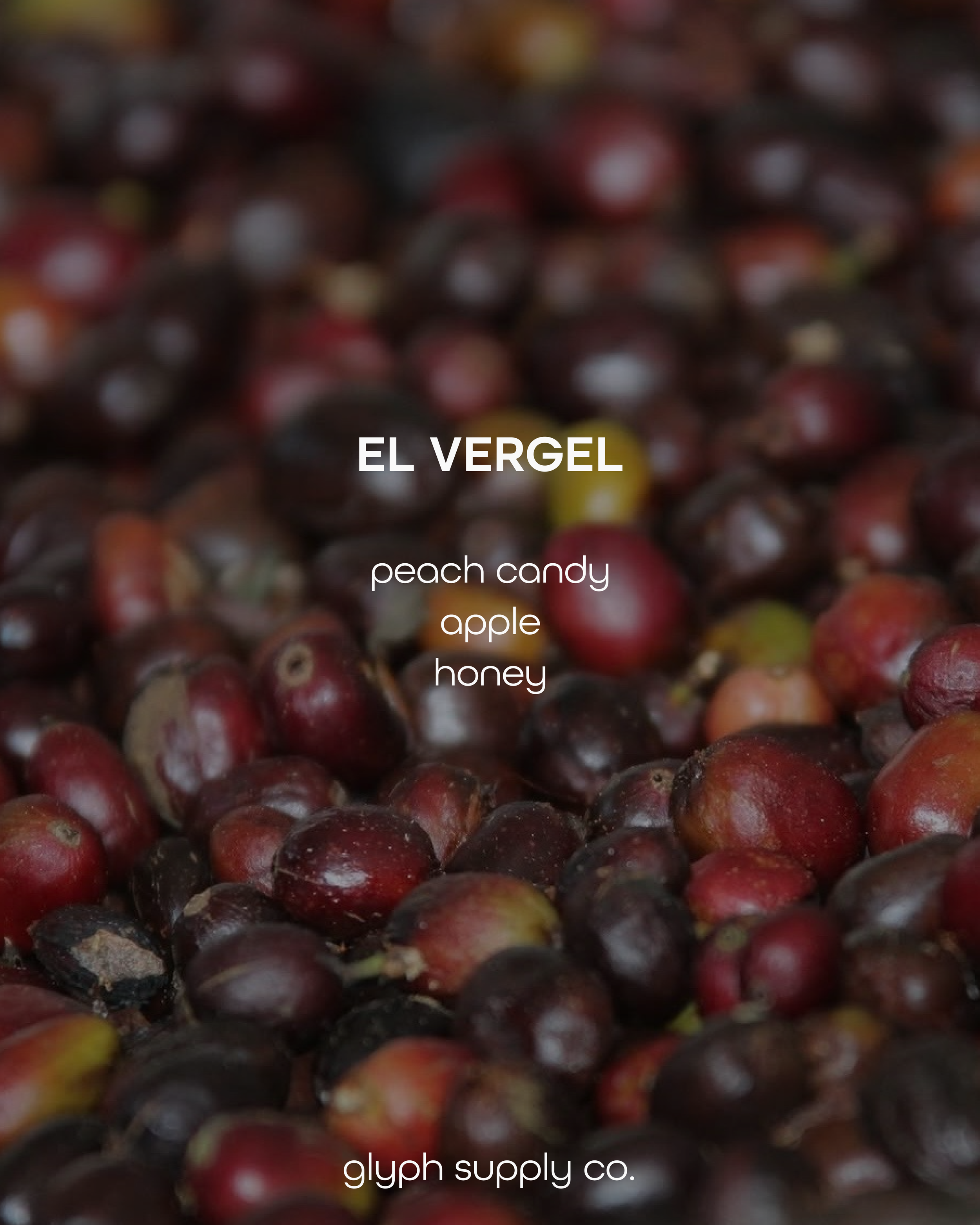 El Vergel Colombia