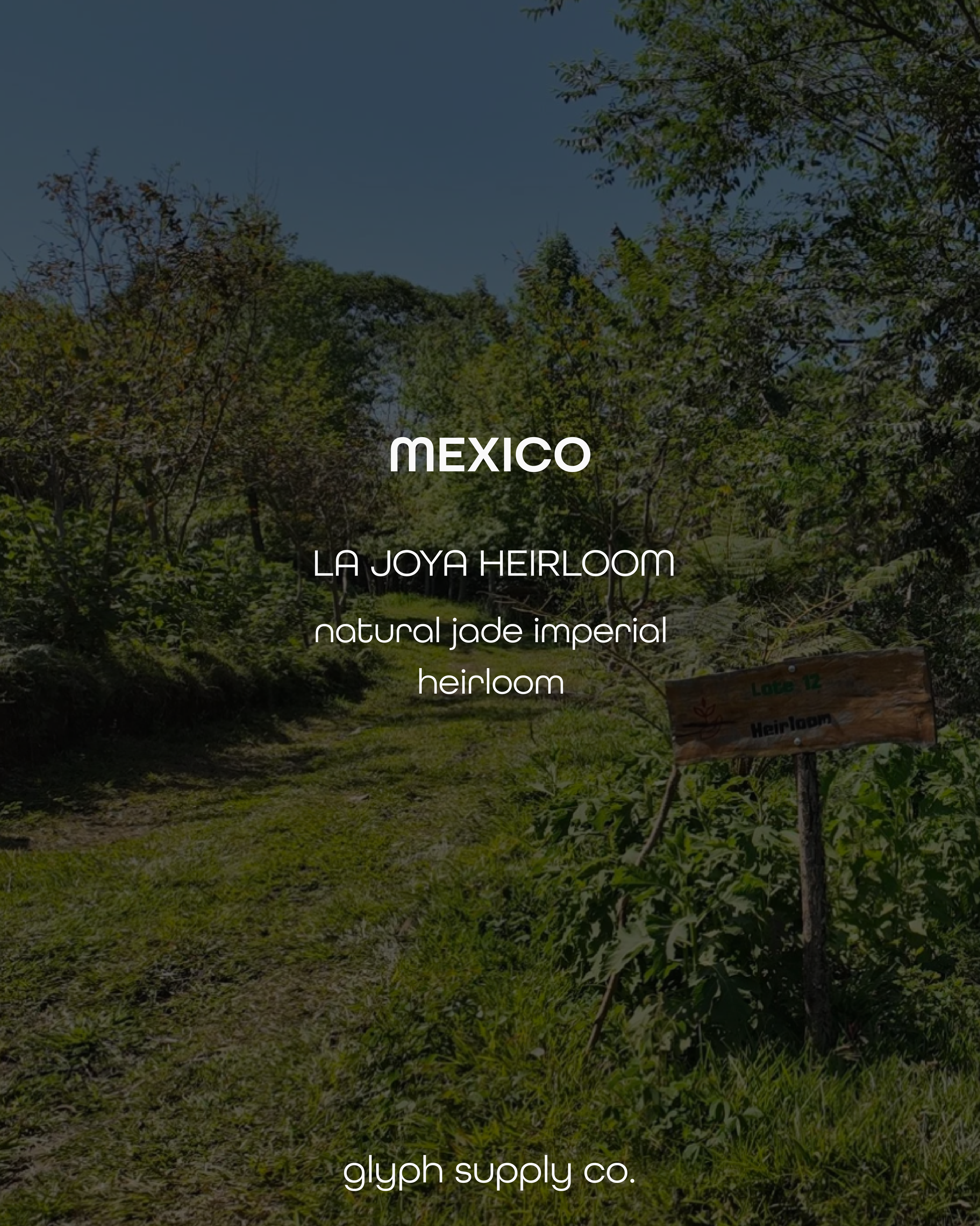 la joya-13.png