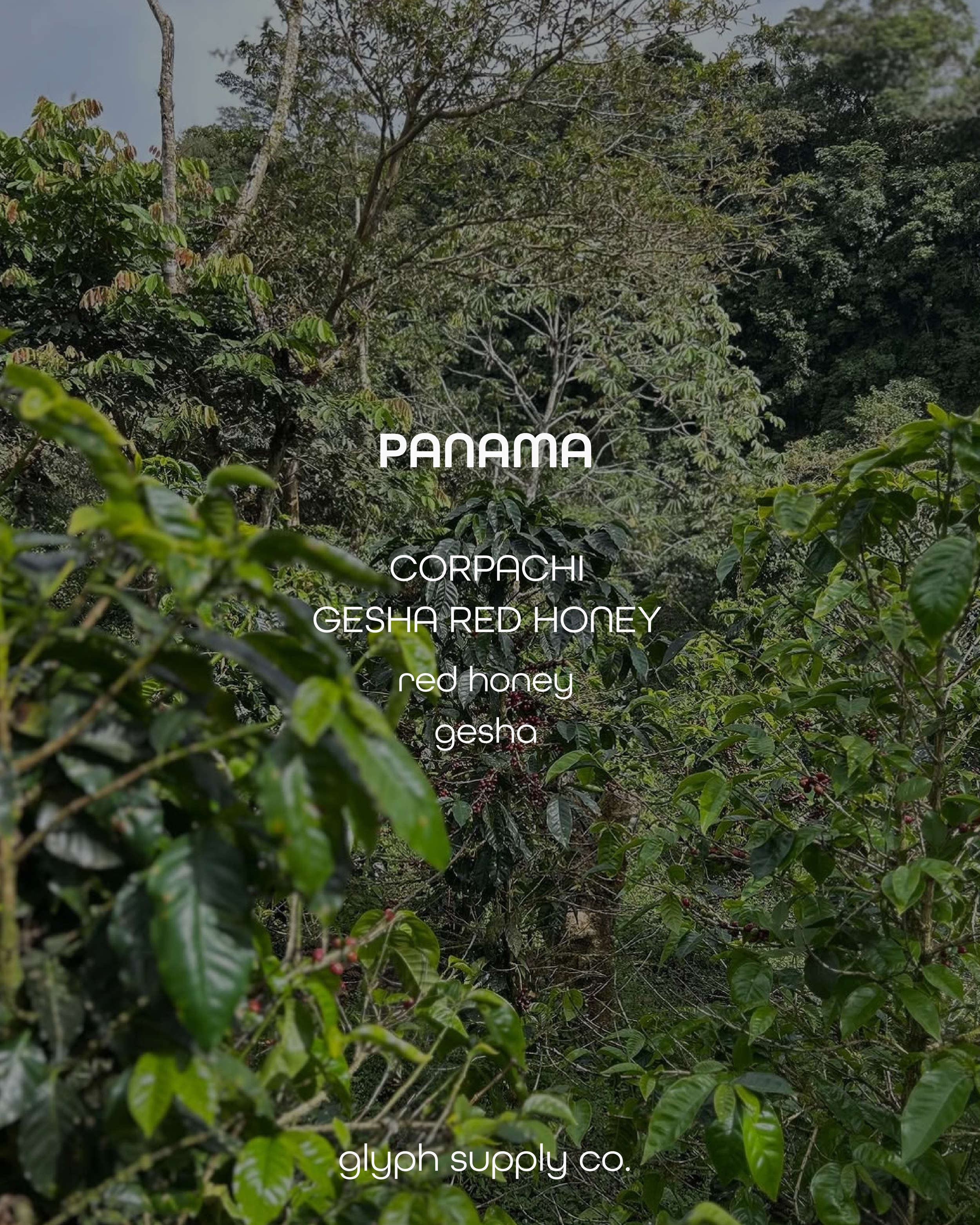 corpachi redhoney.png