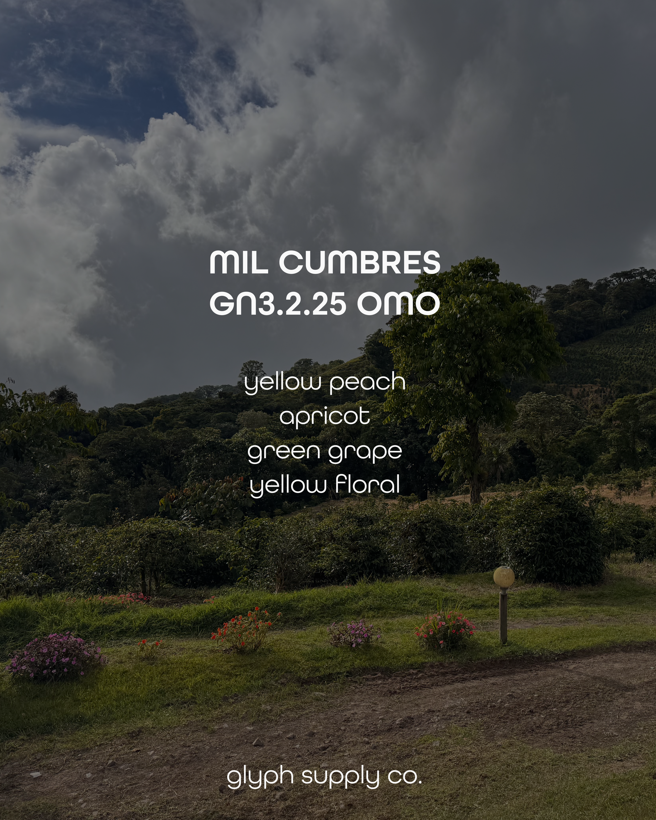 mil cumbres gn03025 2.png