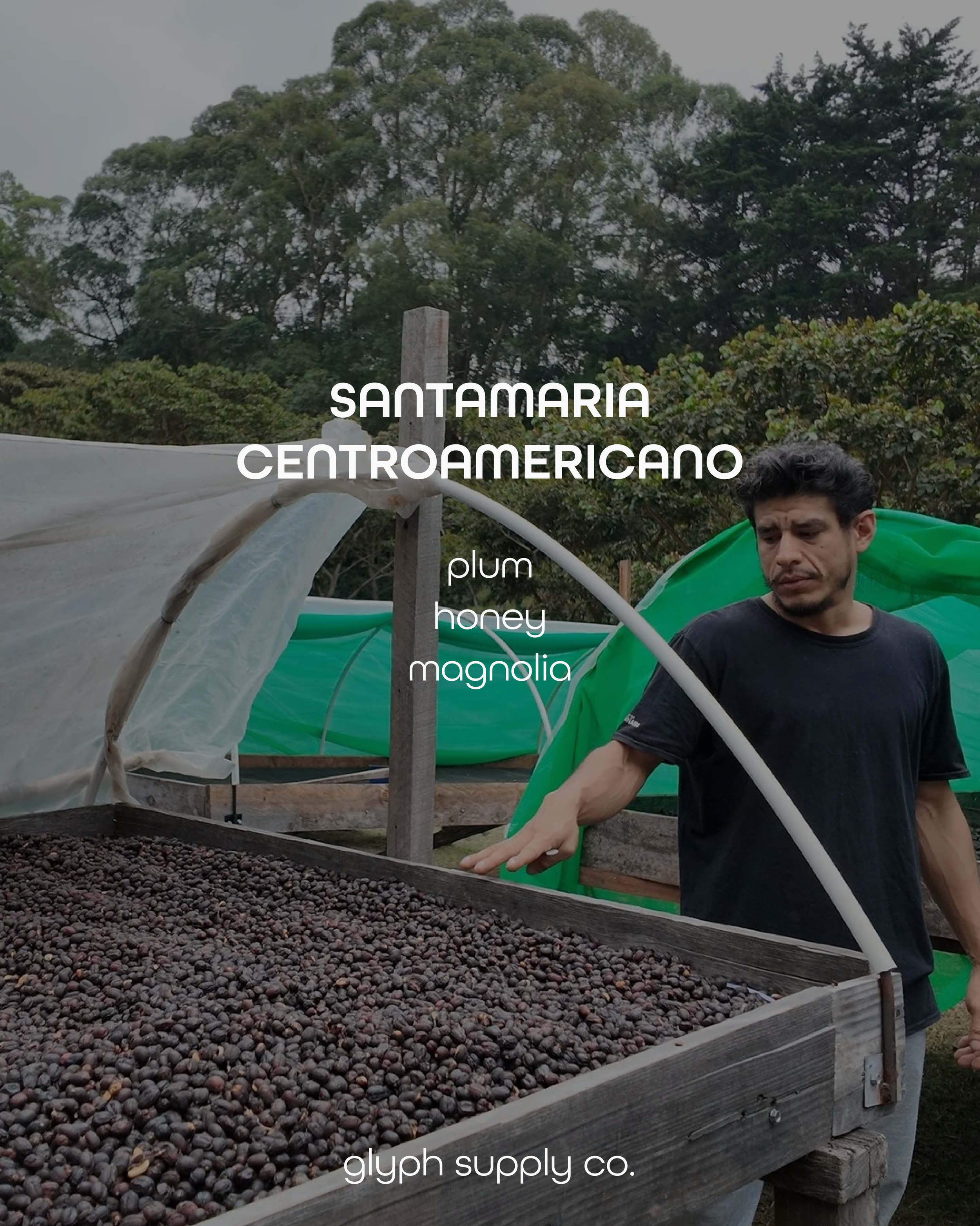 Santamaria Centroamericano Panama