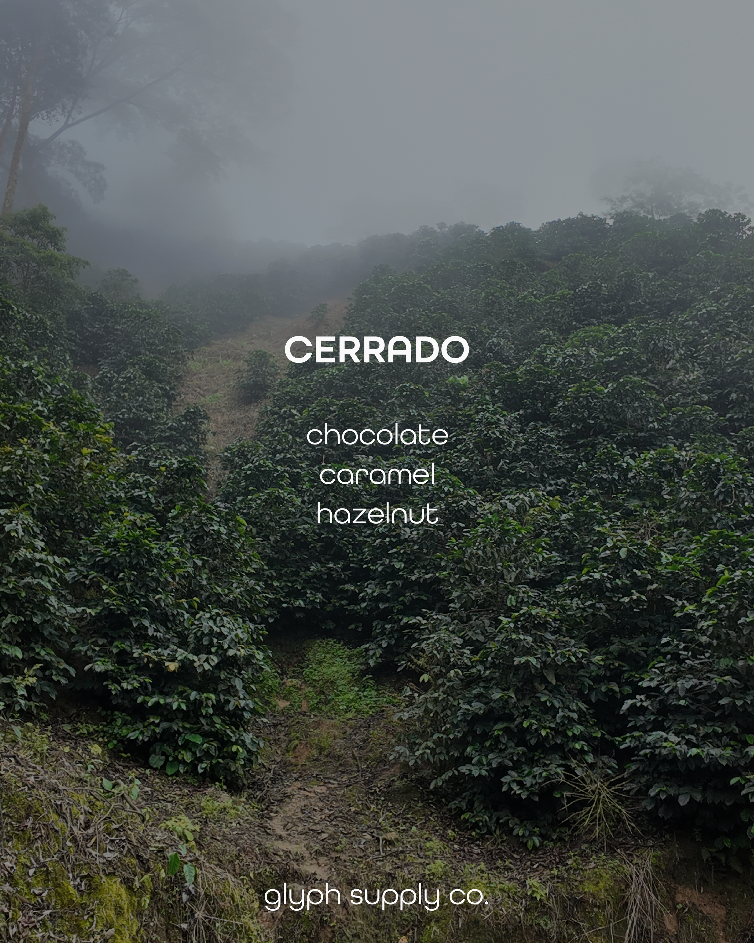 Cerrado Brazil (Espresso)