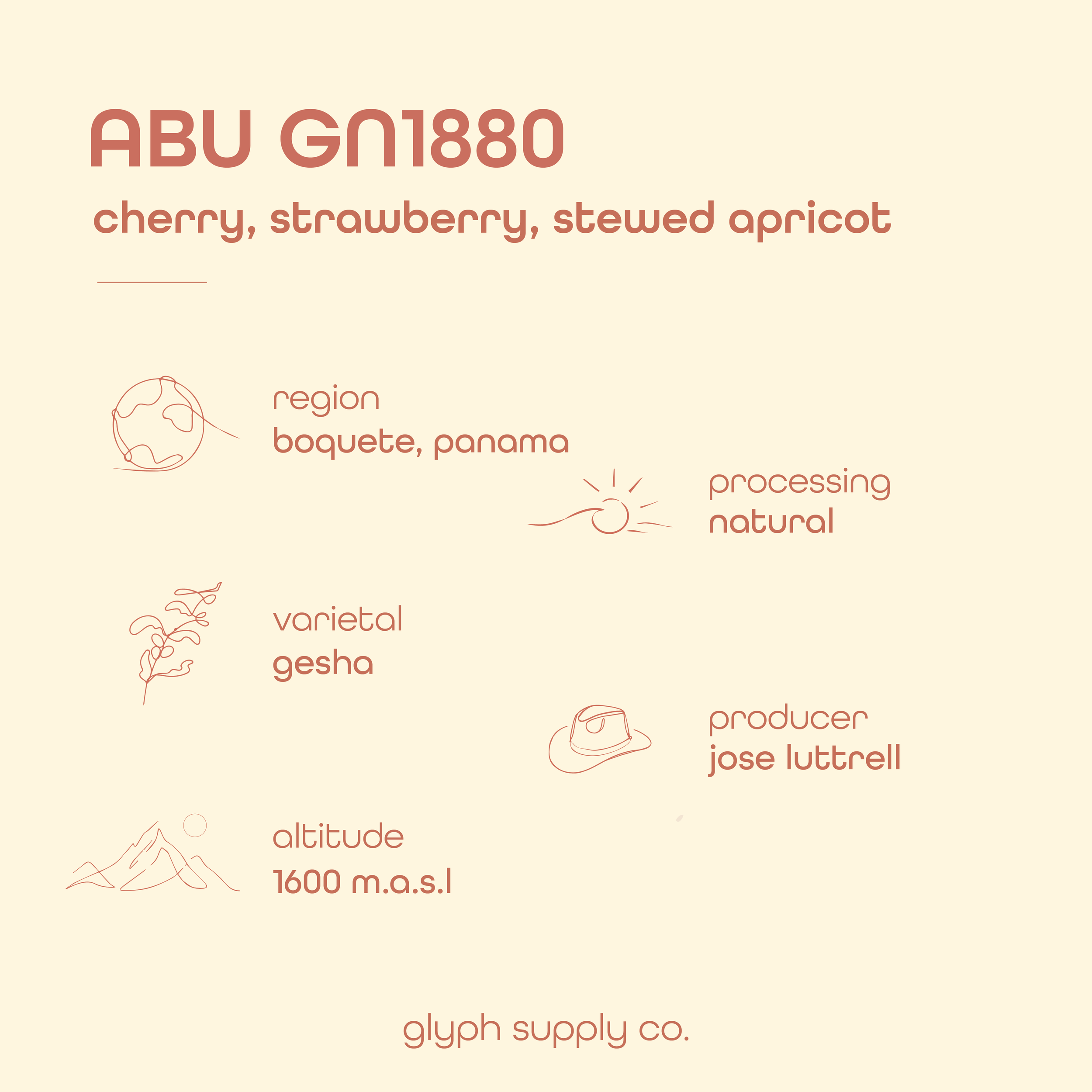 Current Coffee Selections (Infographic)-06.png