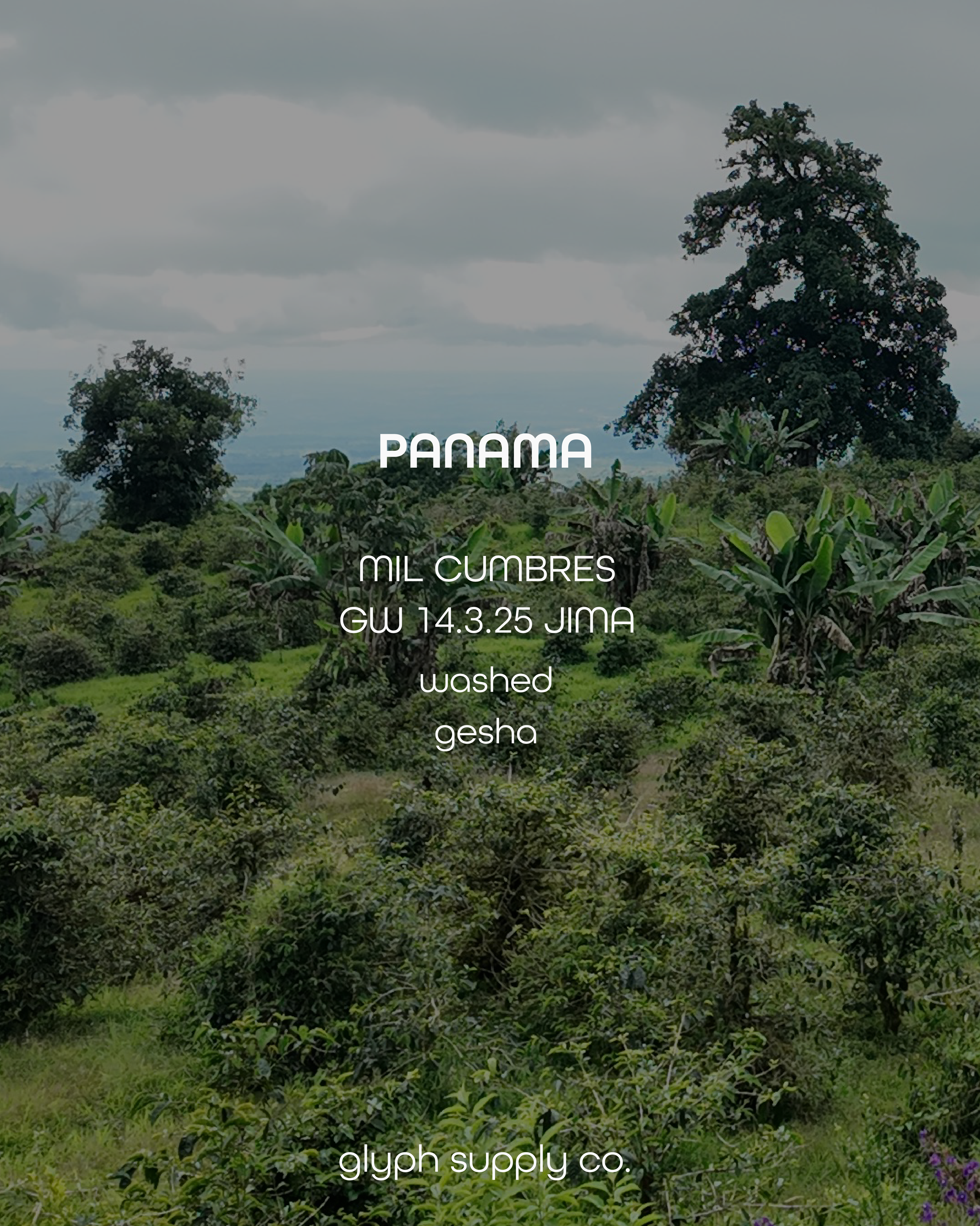 mil cumbres 14325.png