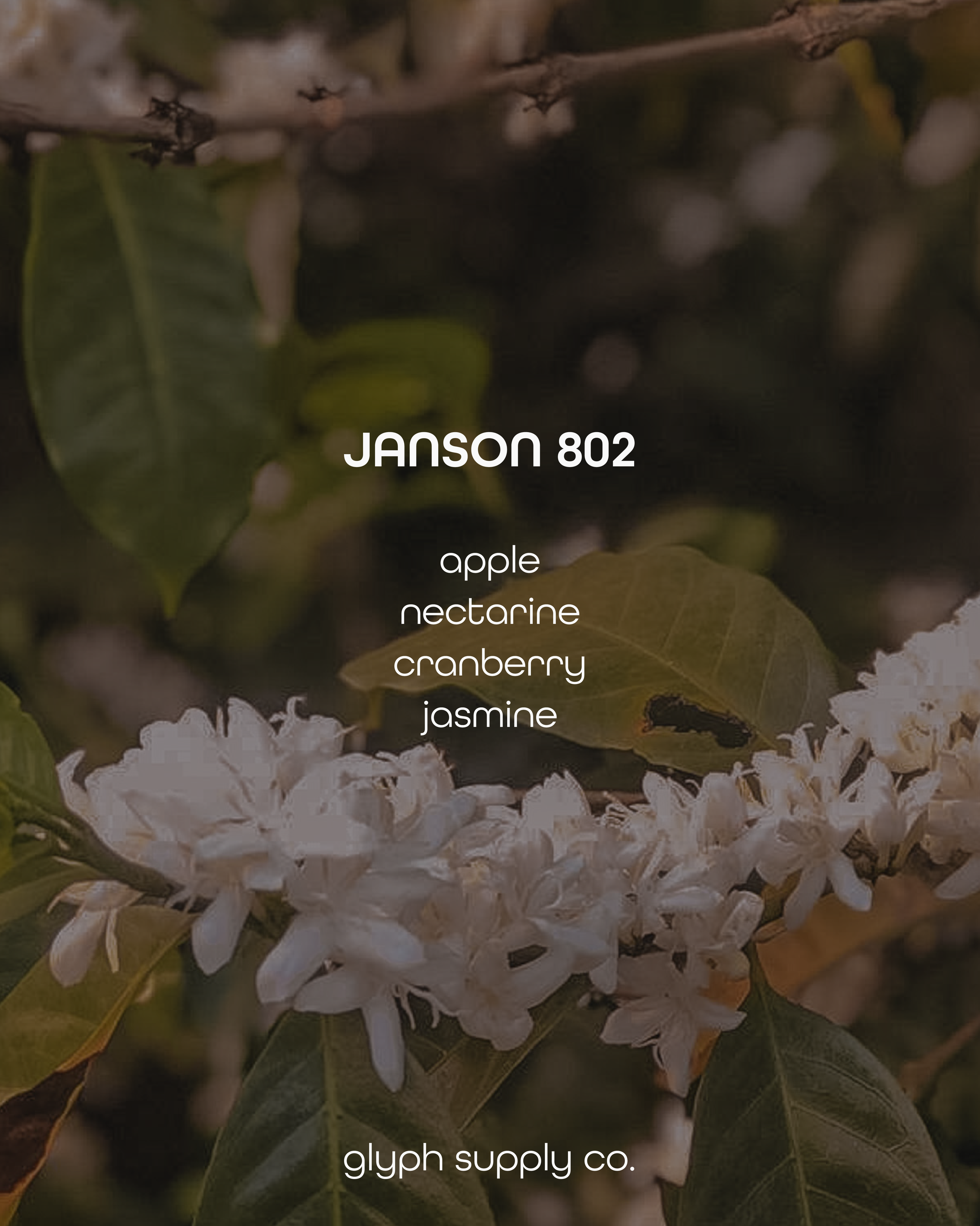 janson 802 2.png