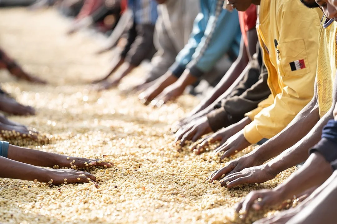 Alo-Coffe-21 (1) (1).jpg