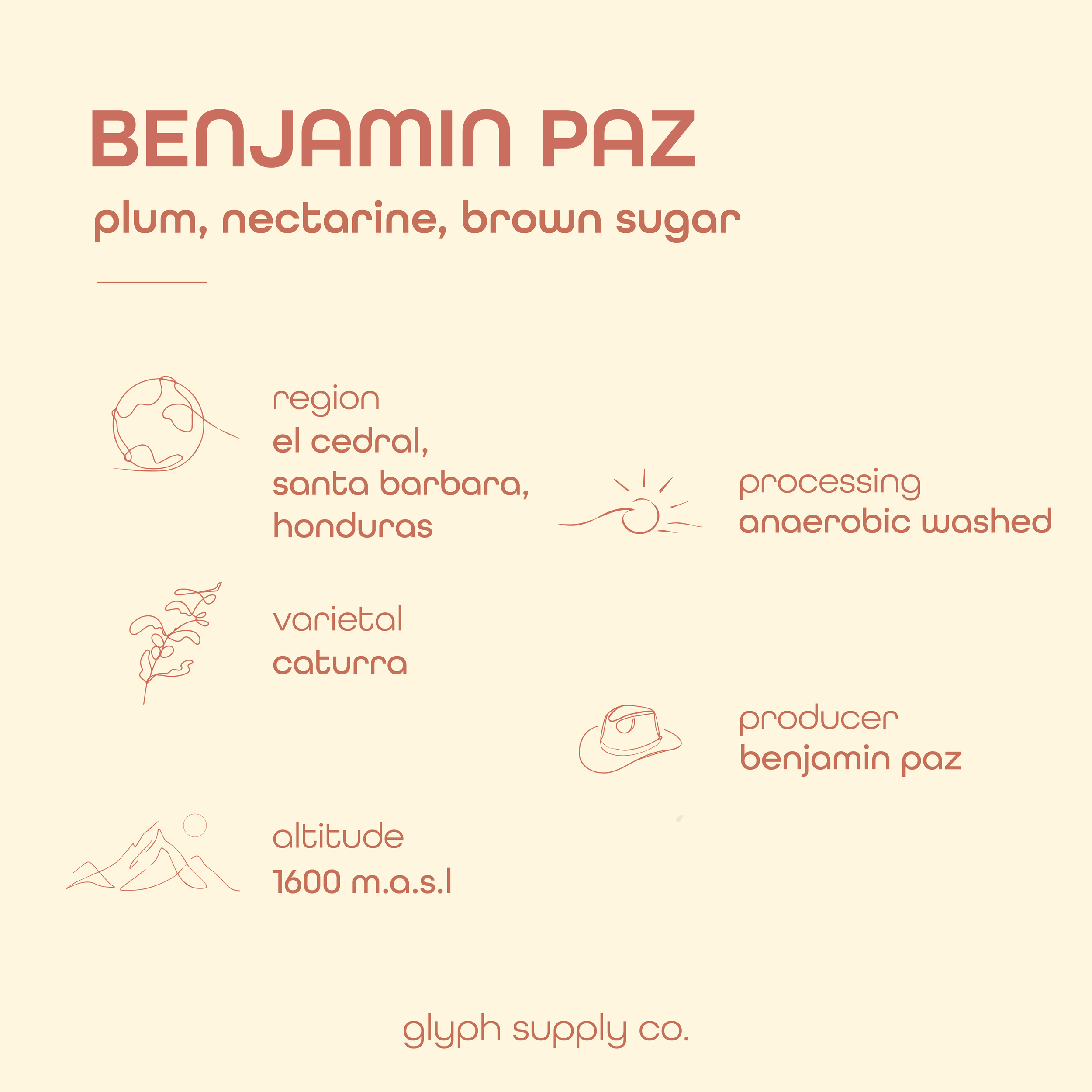 Current Coffee Selections (Infographic)-08.png