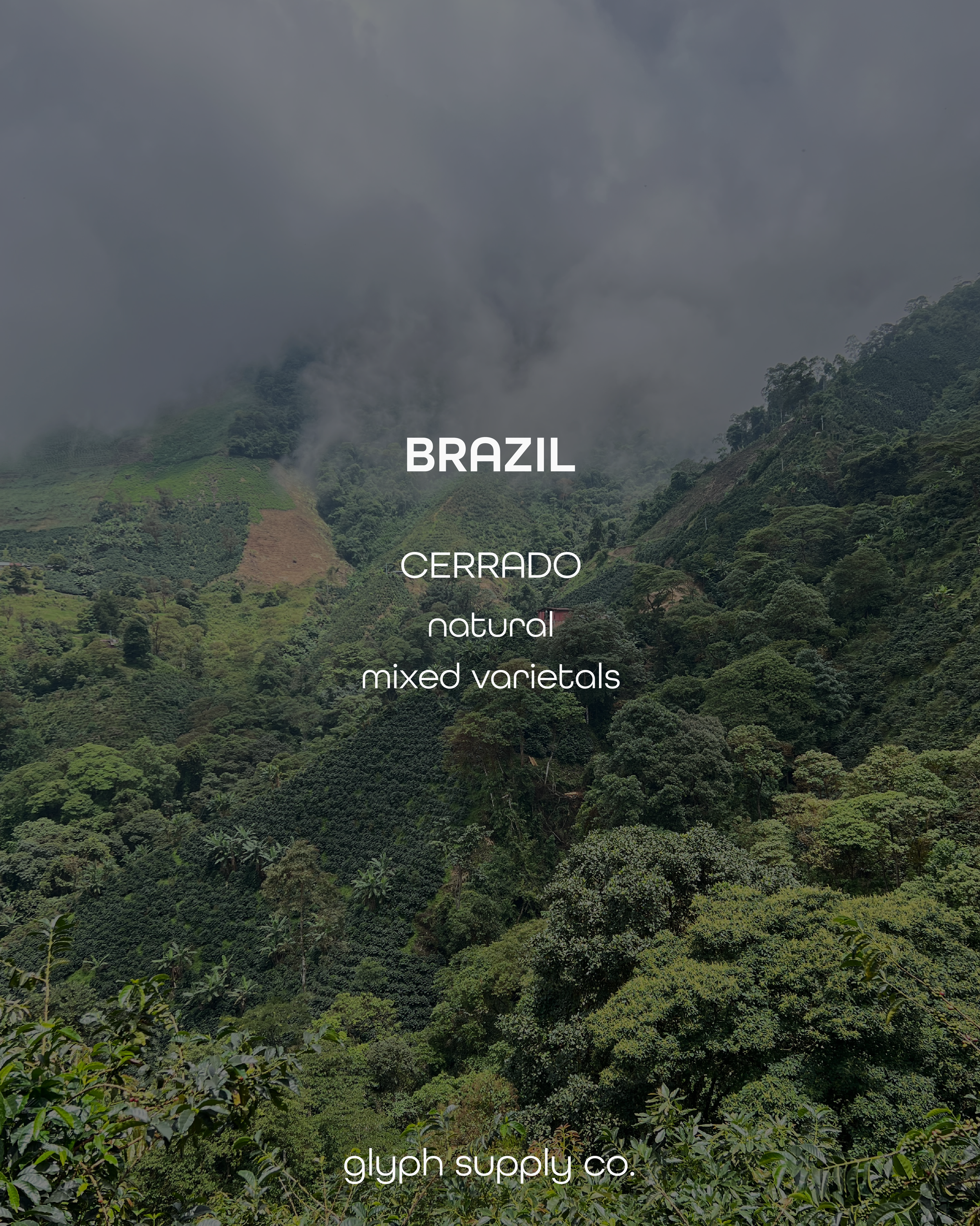 cerado-01.png