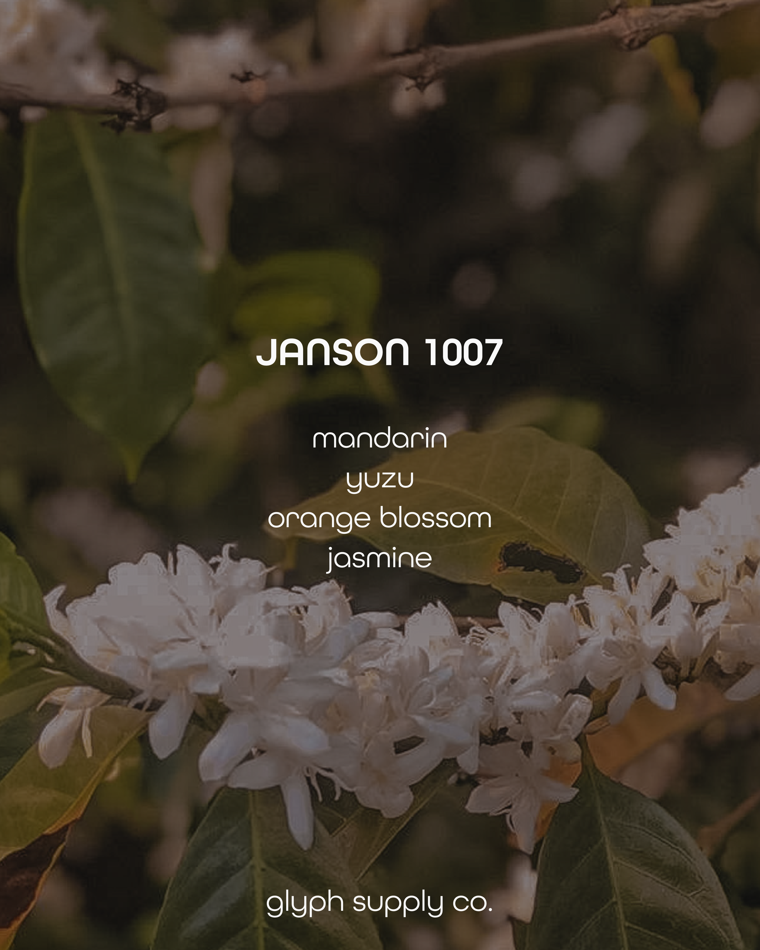 janson 1007-04.png