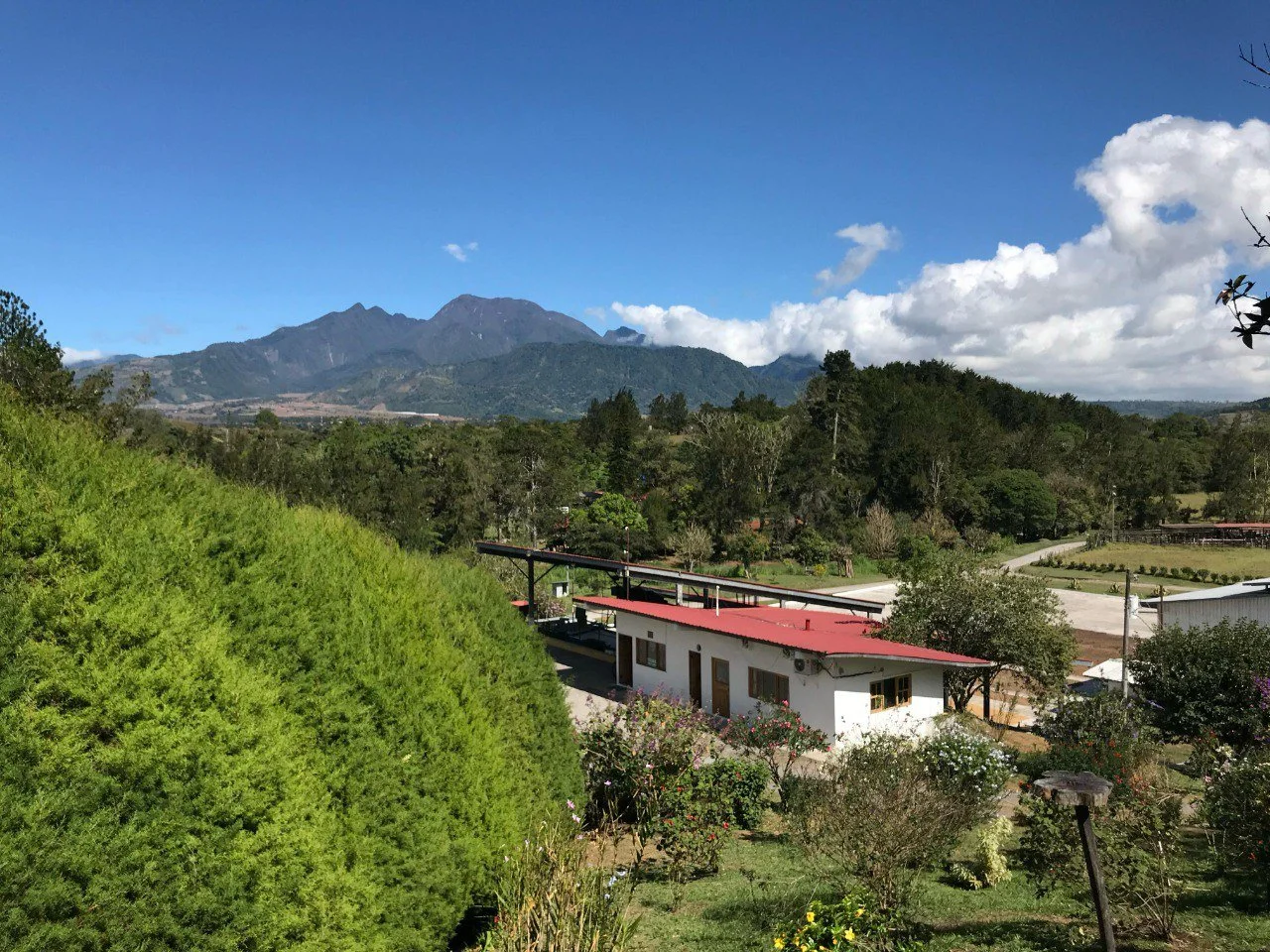 photo_2026-02-20 18.47.50.jpeg