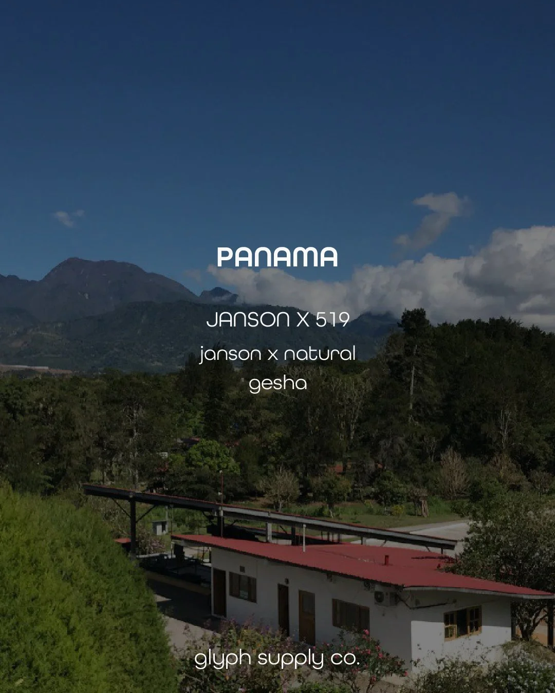 janson x 519 (1).jpg