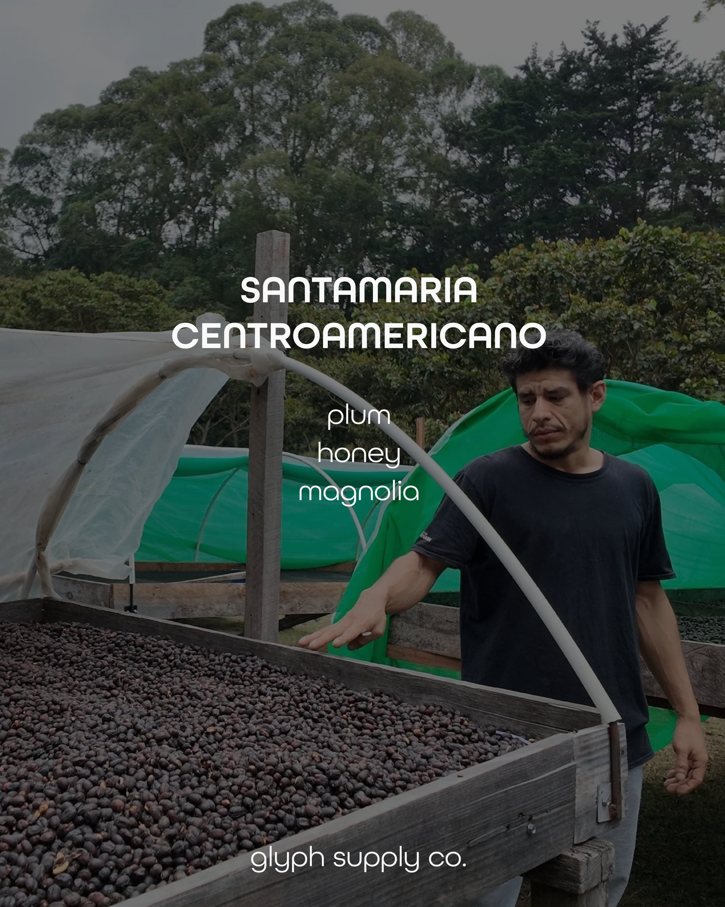 santamaria centroa 2.png