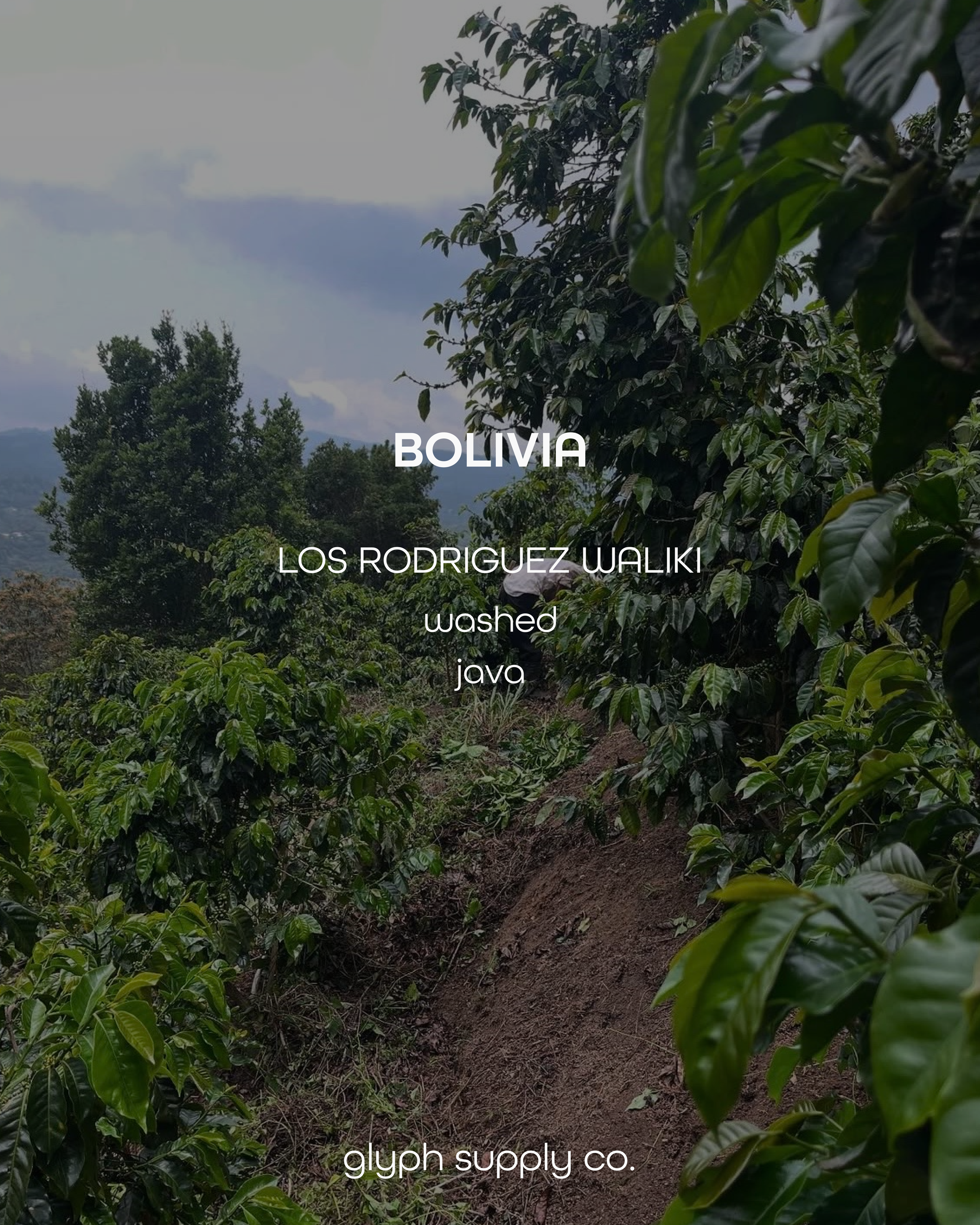 bolivia-05.png