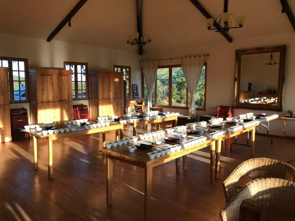 photo_2026-02-20 18.48.20.jpeg