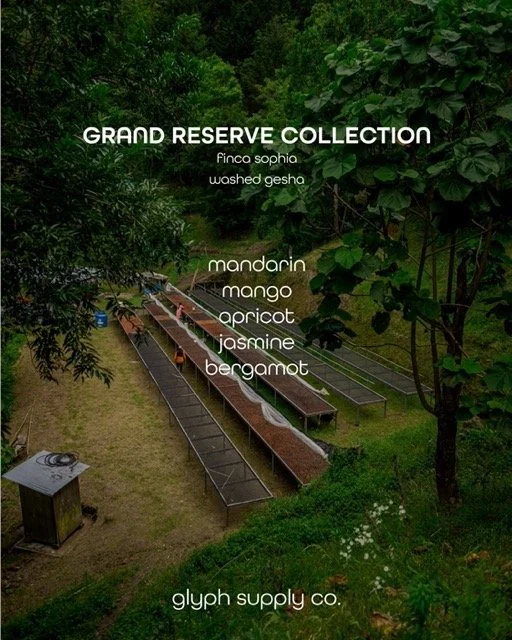 IMG_4301 Medium.jpeg