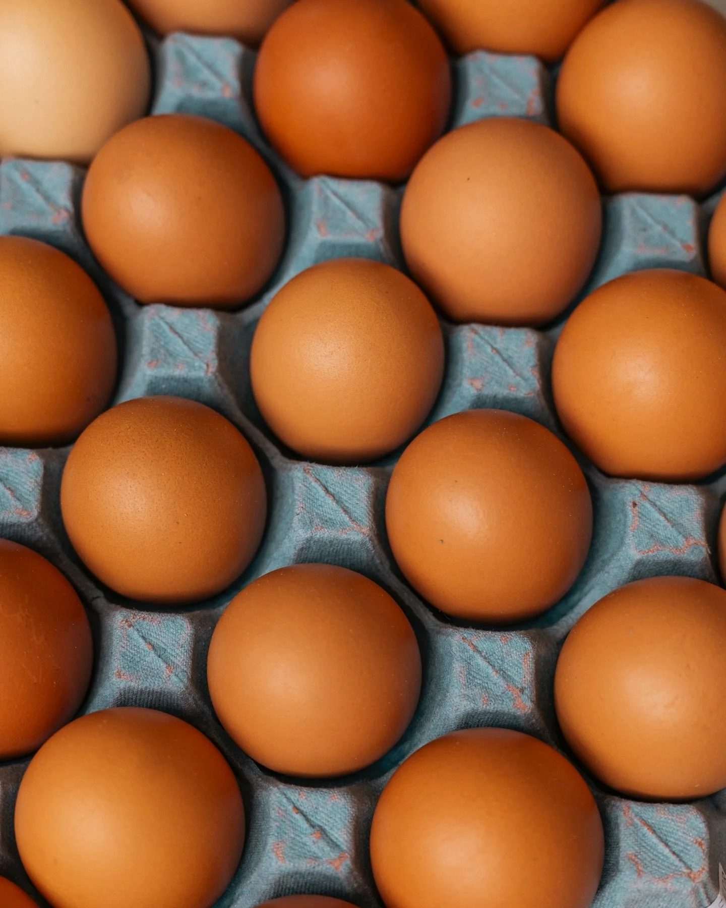 Pasture-raised eggs from @trueggs - local, ethical and delivered fresh.

Richer yolks and fuller flavour mean lighter pastries, softer custards and dishes that taste like more than the sum of their parts.