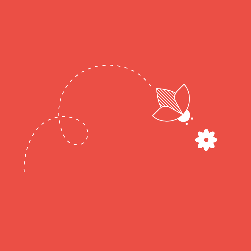 COVER7.png