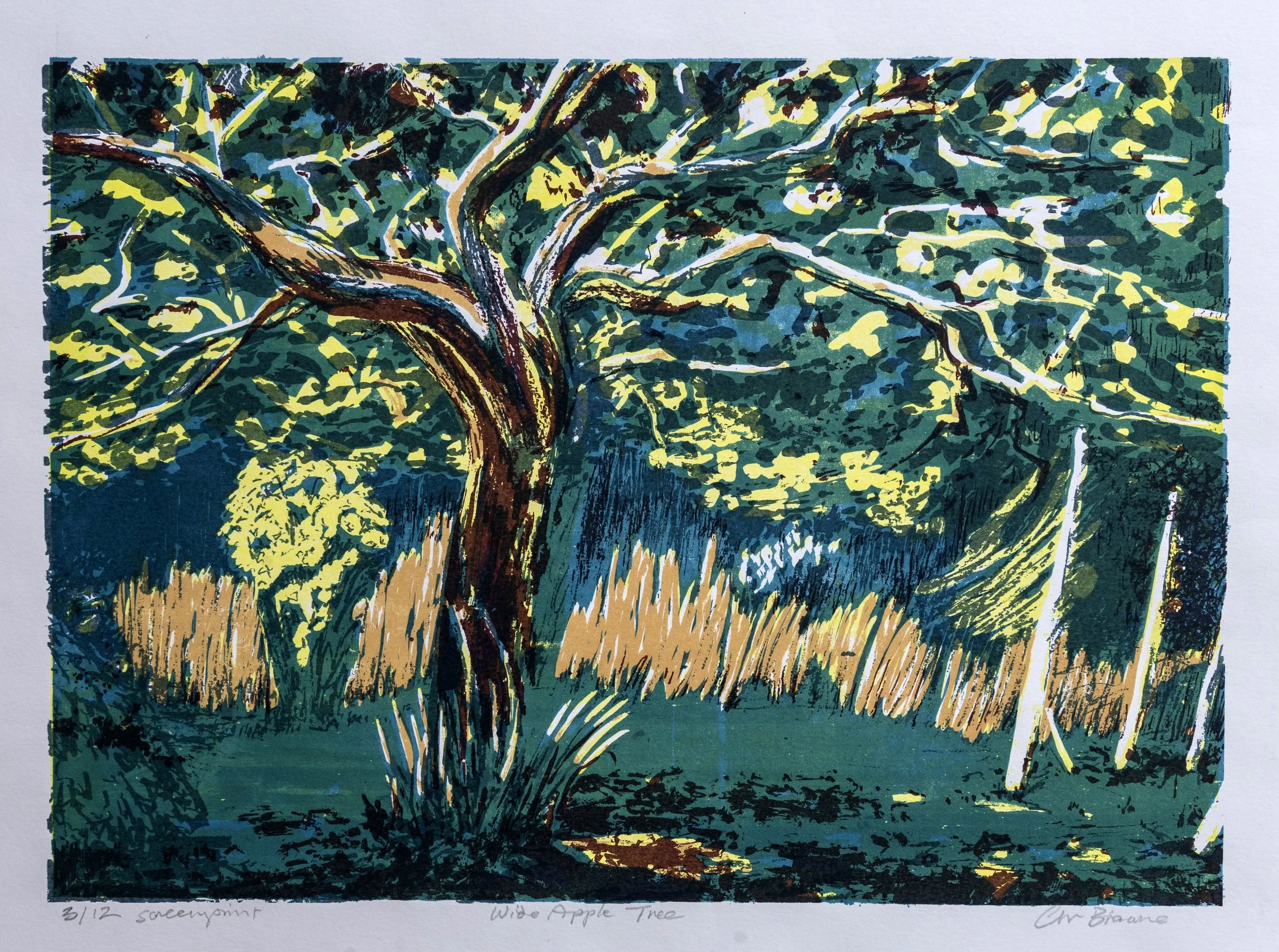 20 : Screenprint | "Wide Apple Tree"