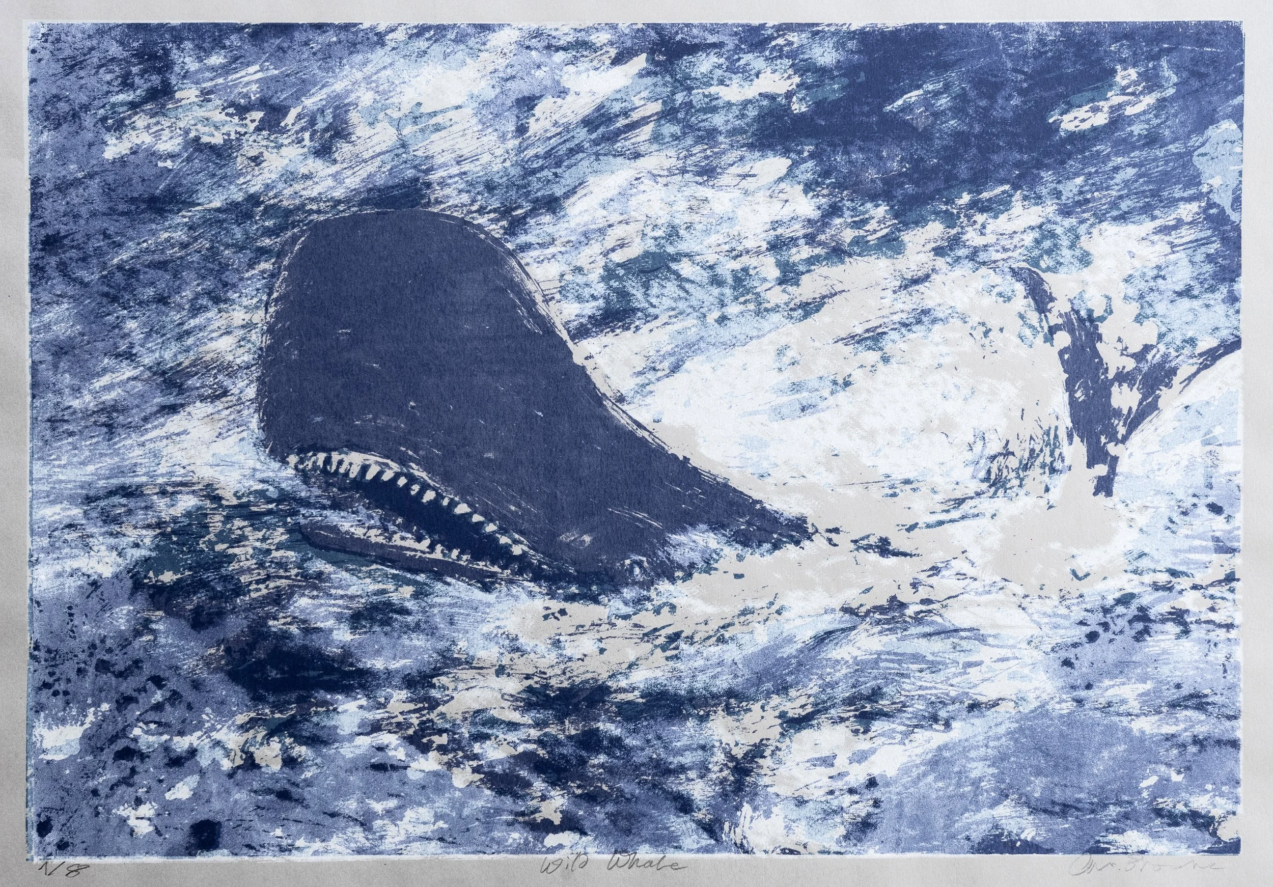 98 : Screenprint | "Wild Whale"