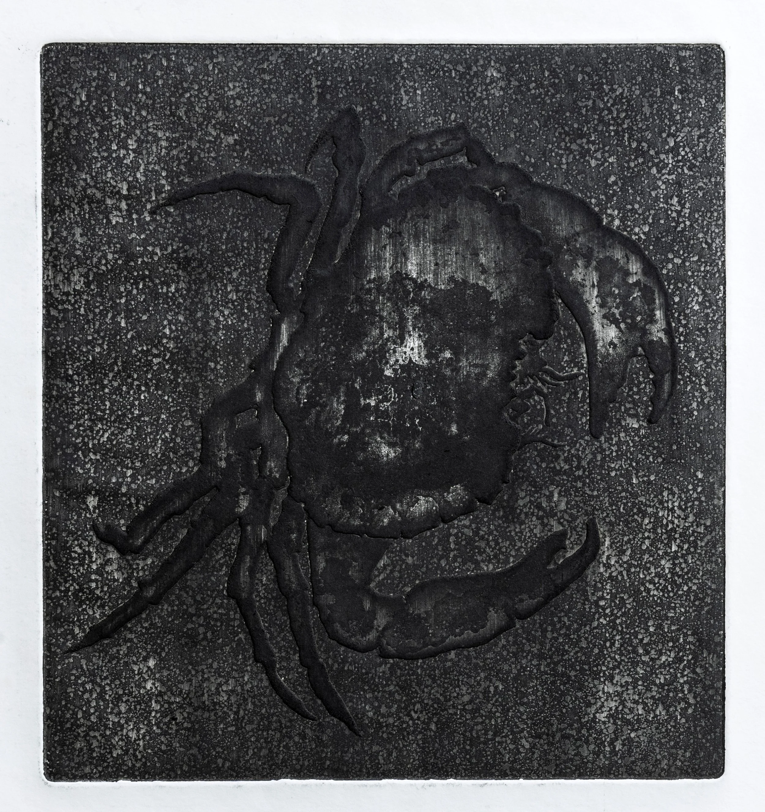 23 : Lithograph | "Crab"