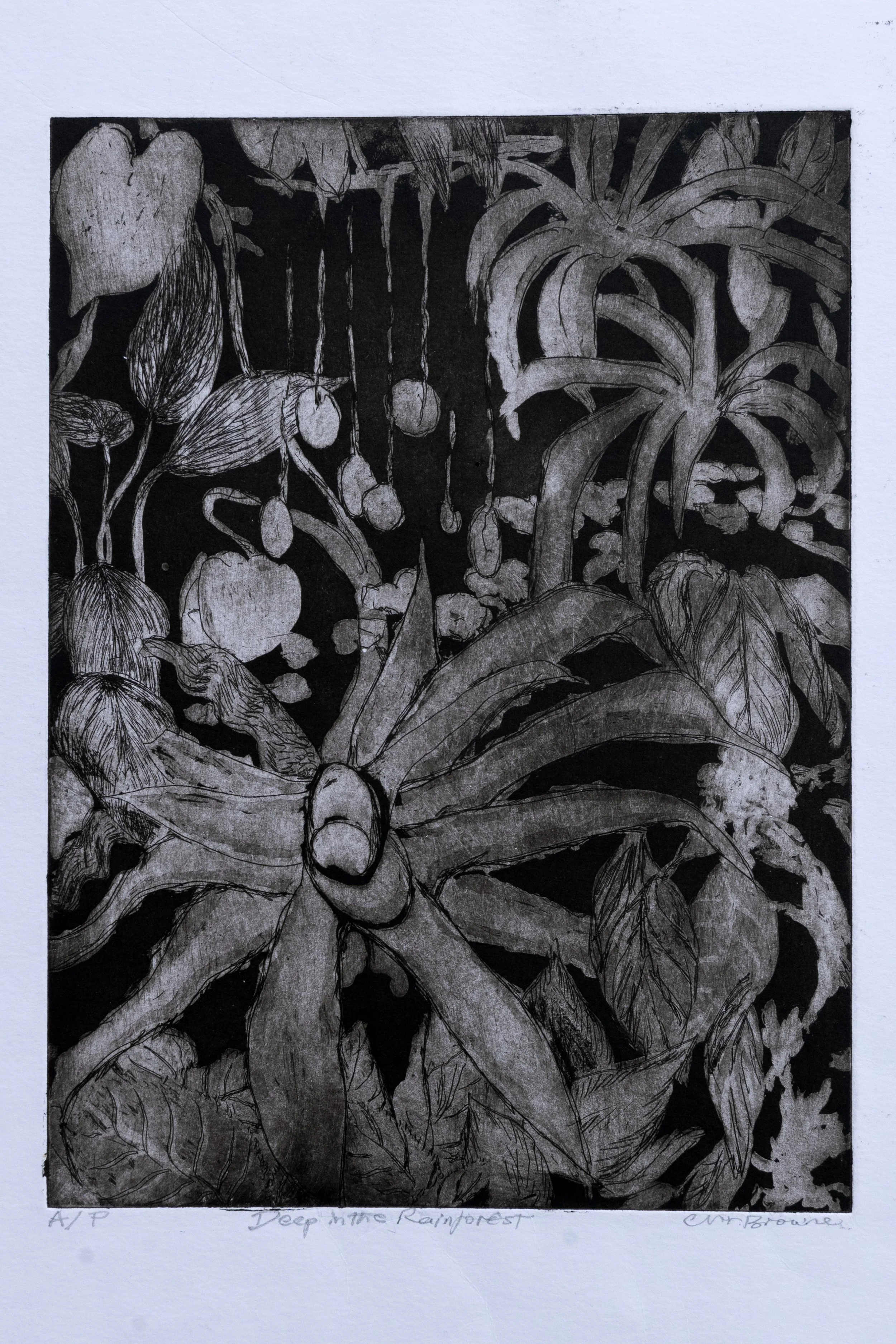 1 : Lithograph | "Deep Into the Rainforest"